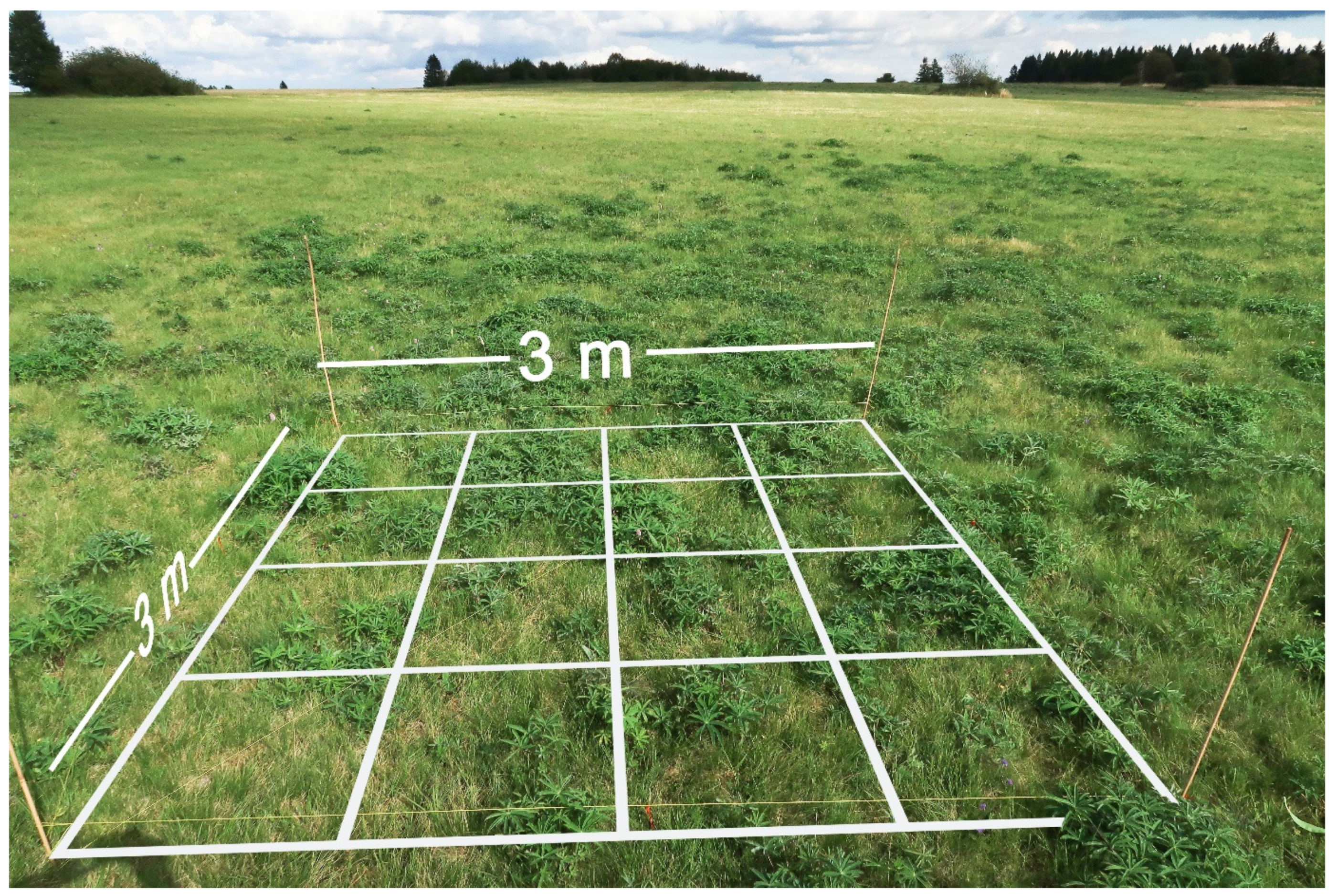 Remotesensing 13 04333 g002 550