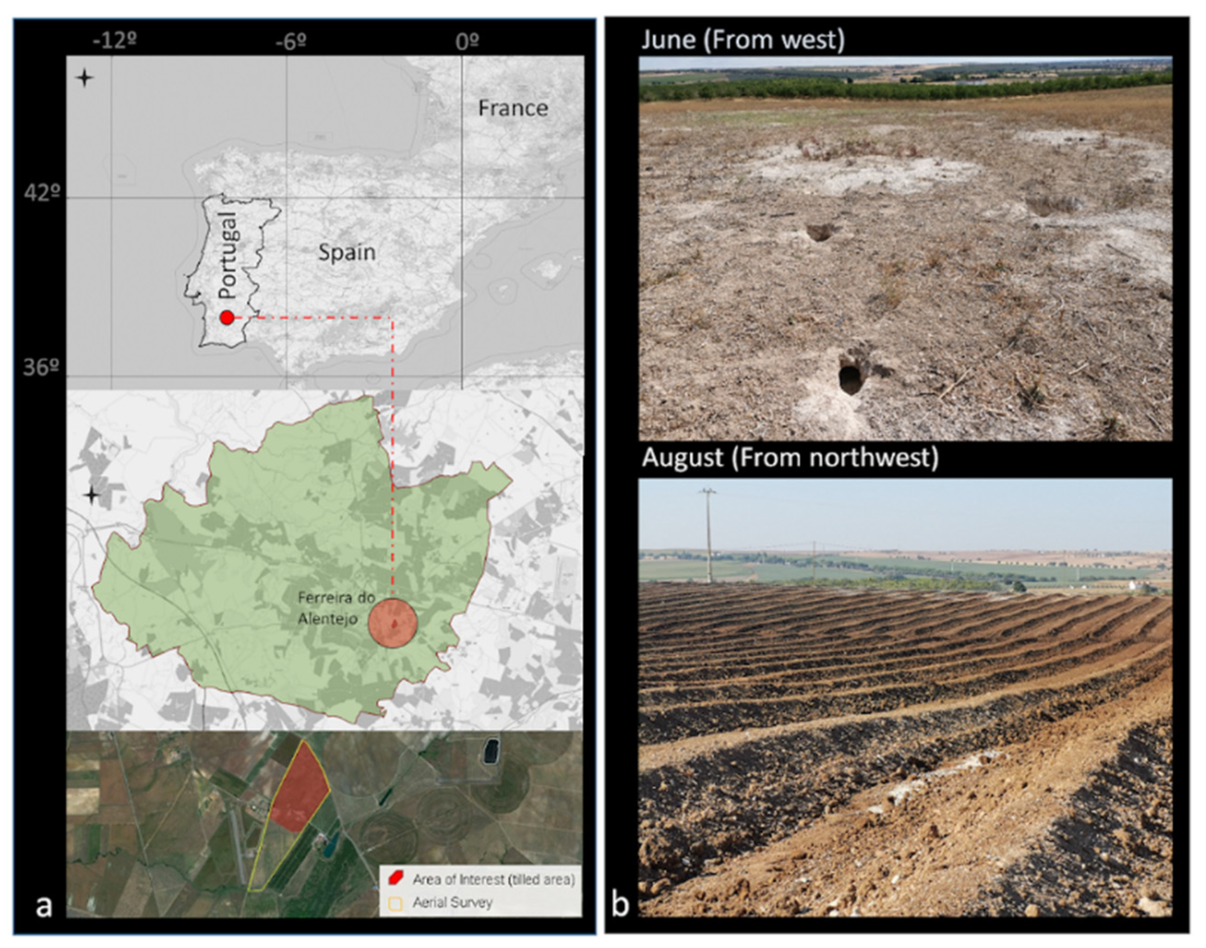 Remotesensing 13 04336 g002 550