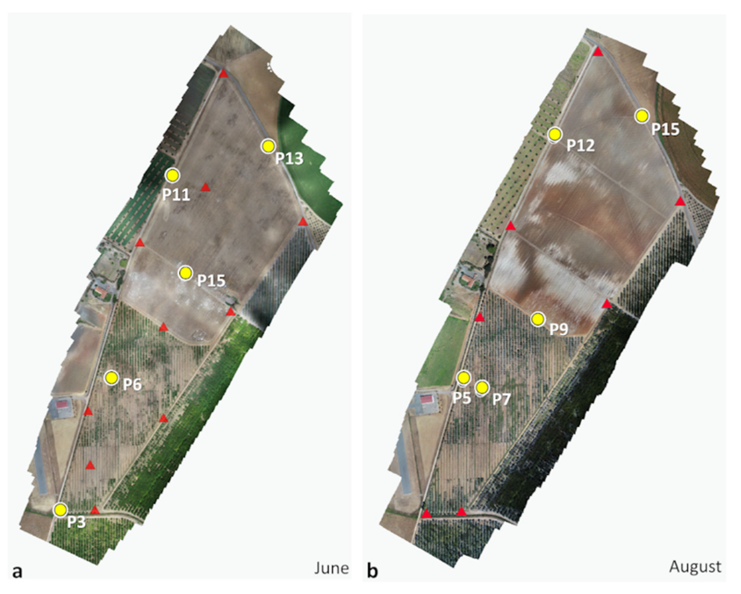 Remotesensing 13 04336 g009 550