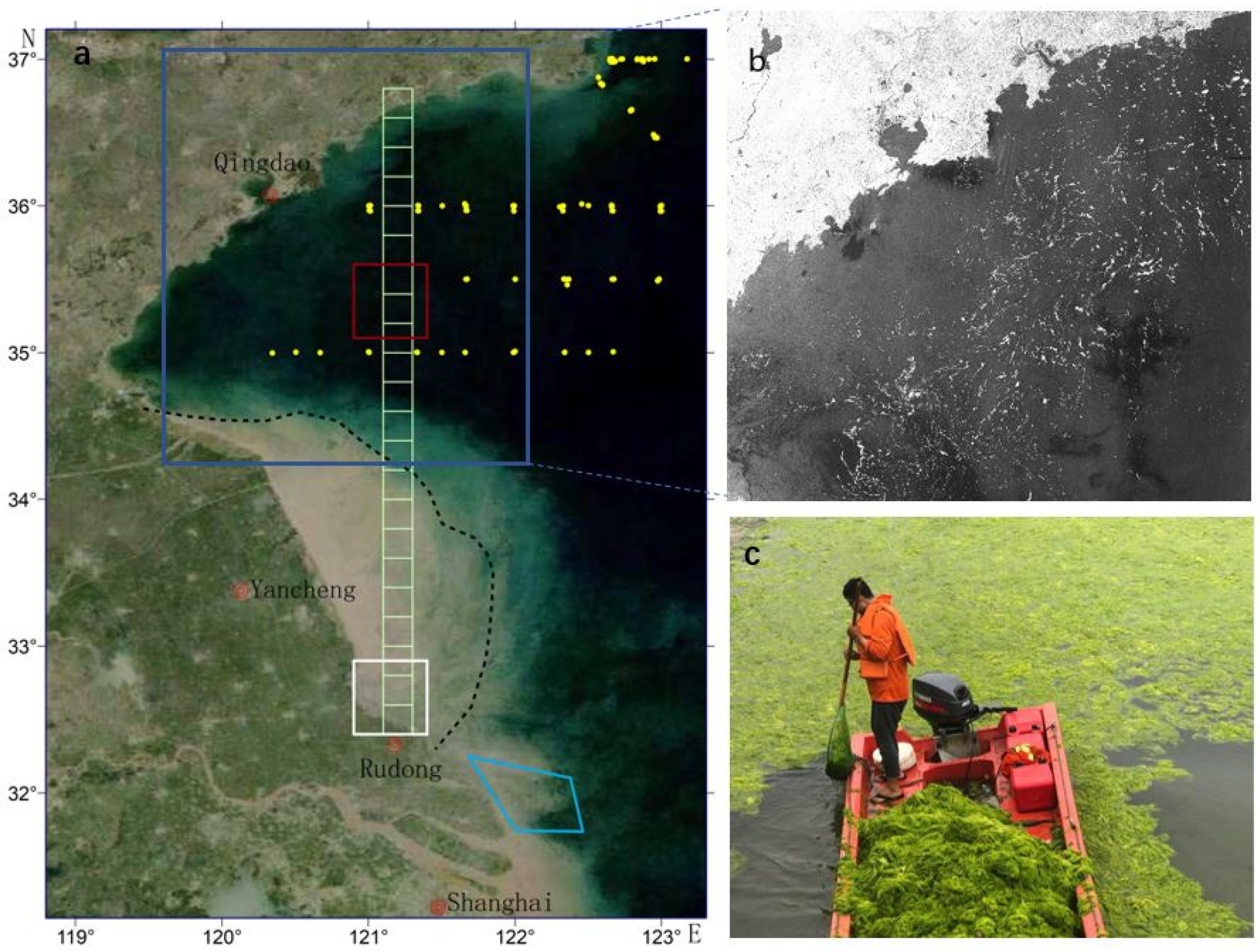 Remotesensing 13 04406 g001 550