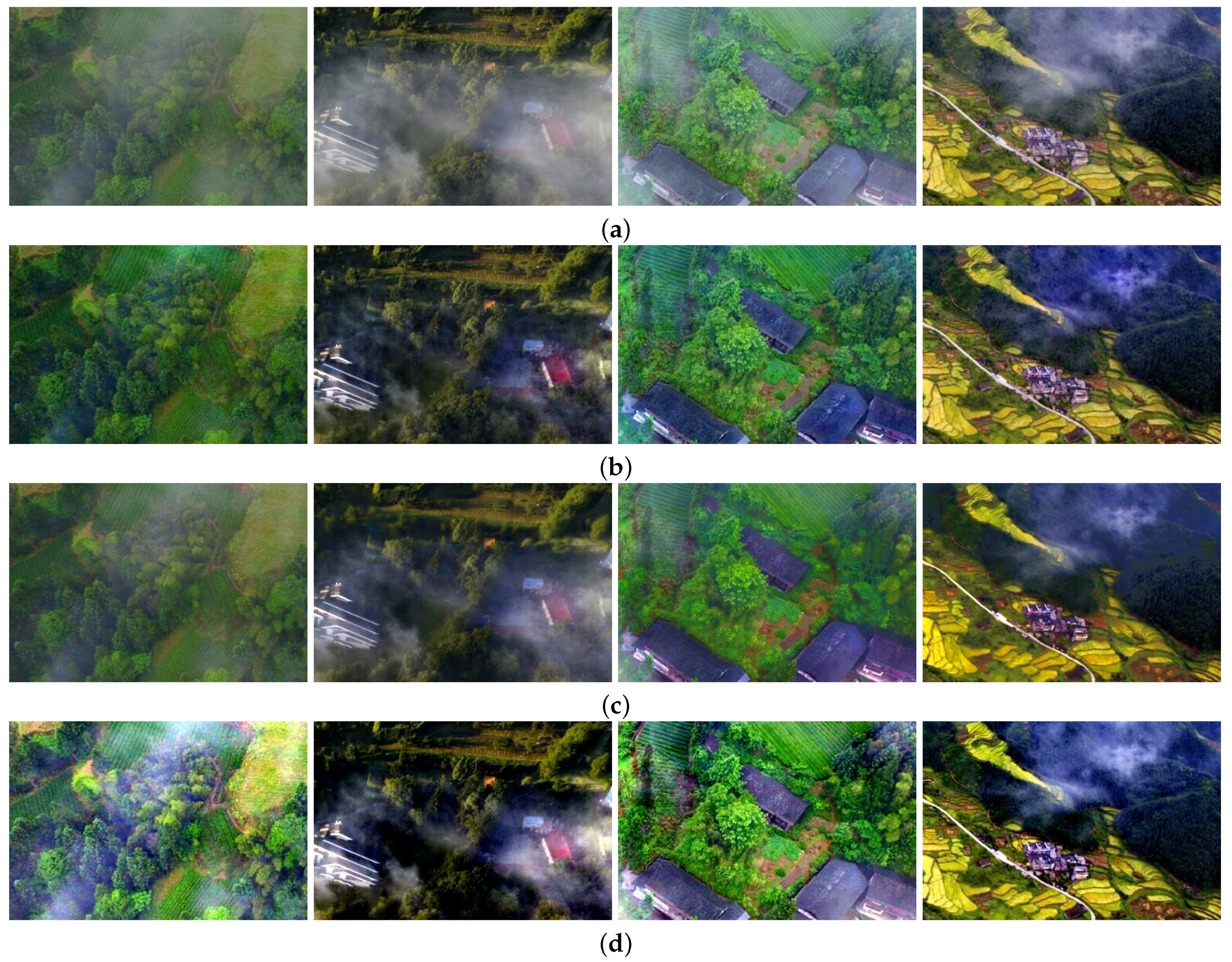 Remotesensing 13 04443 g006a