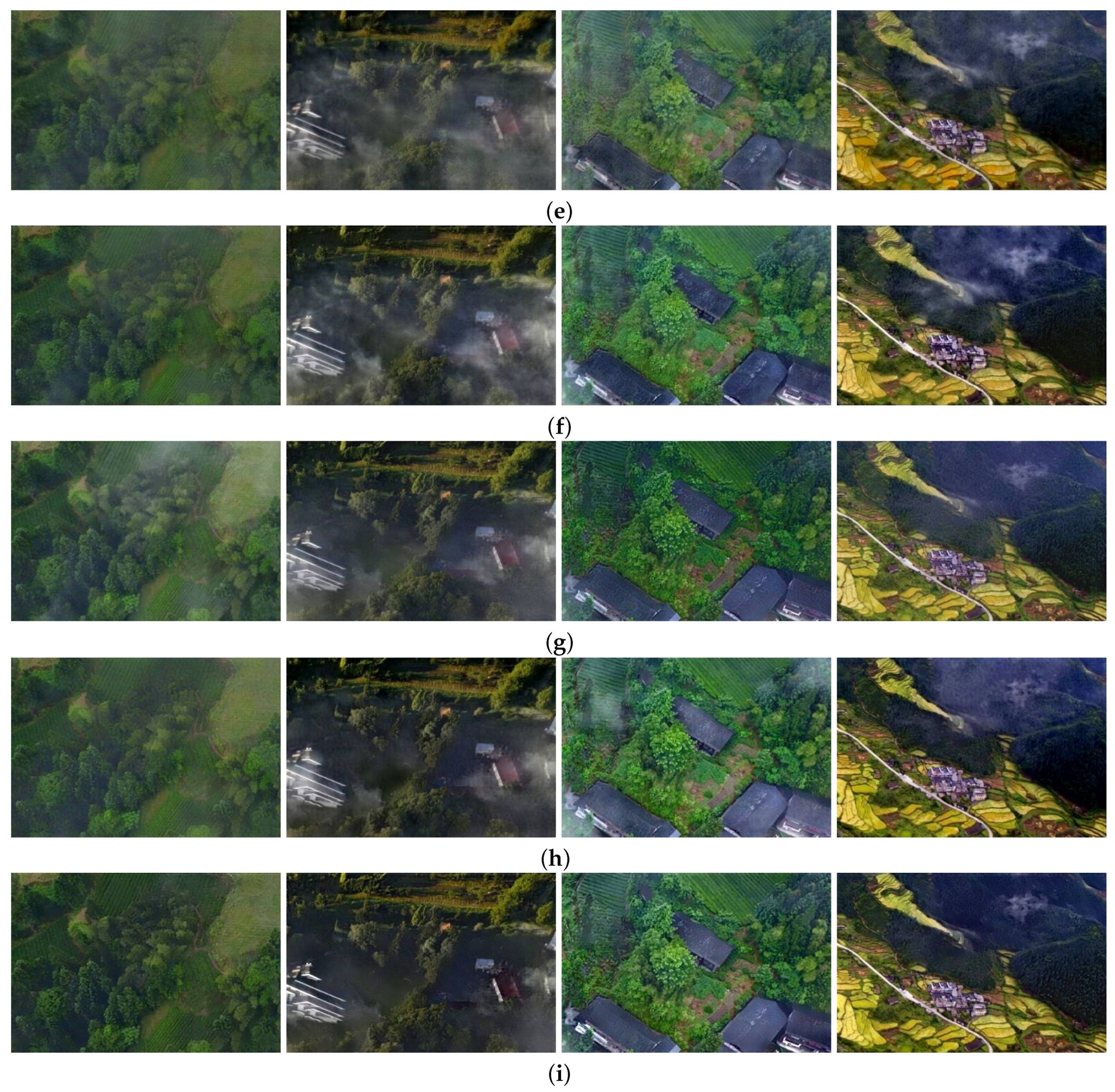 Remotesensing 13 04443 g006b