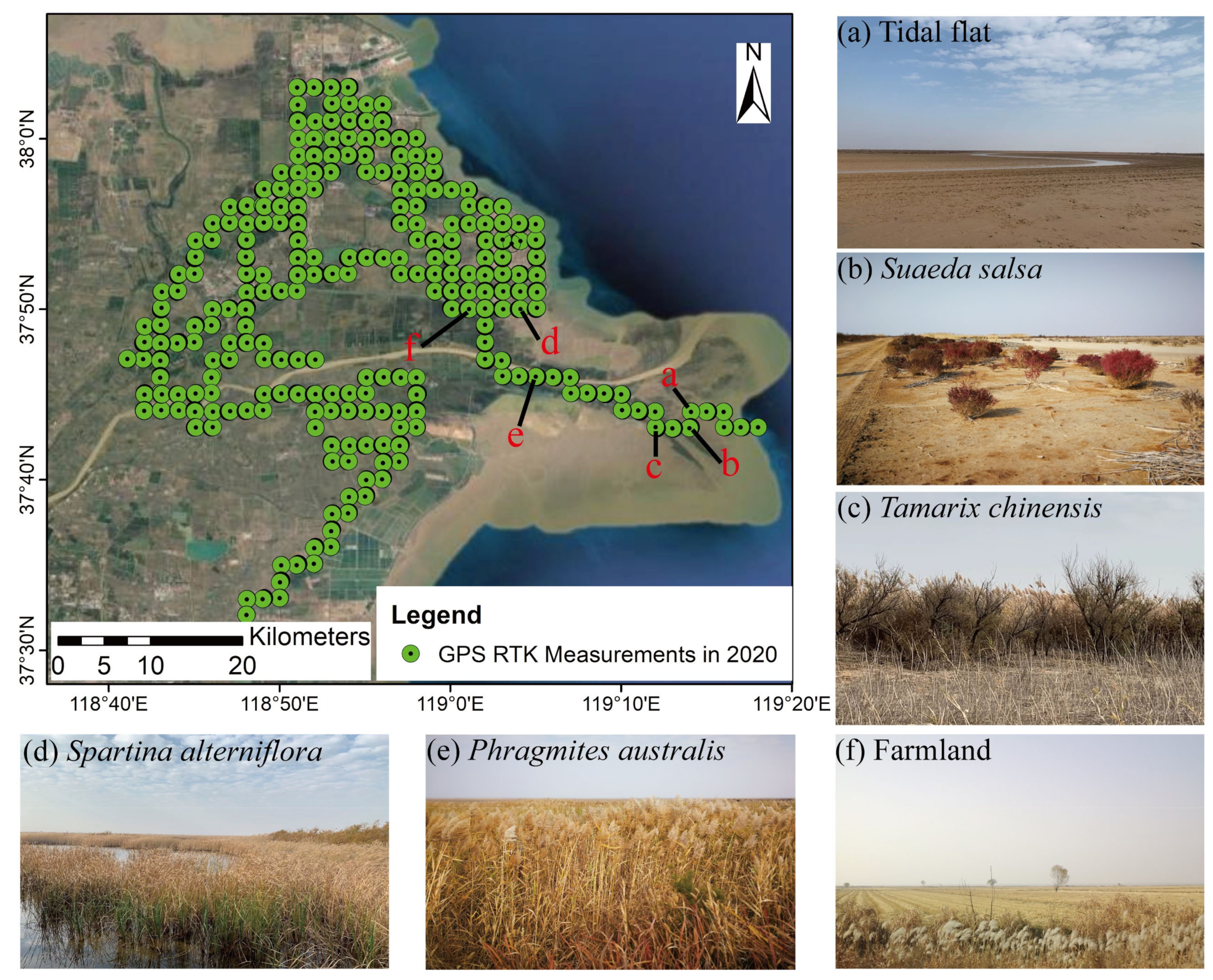 Remotesensing 13 04444 g002 550