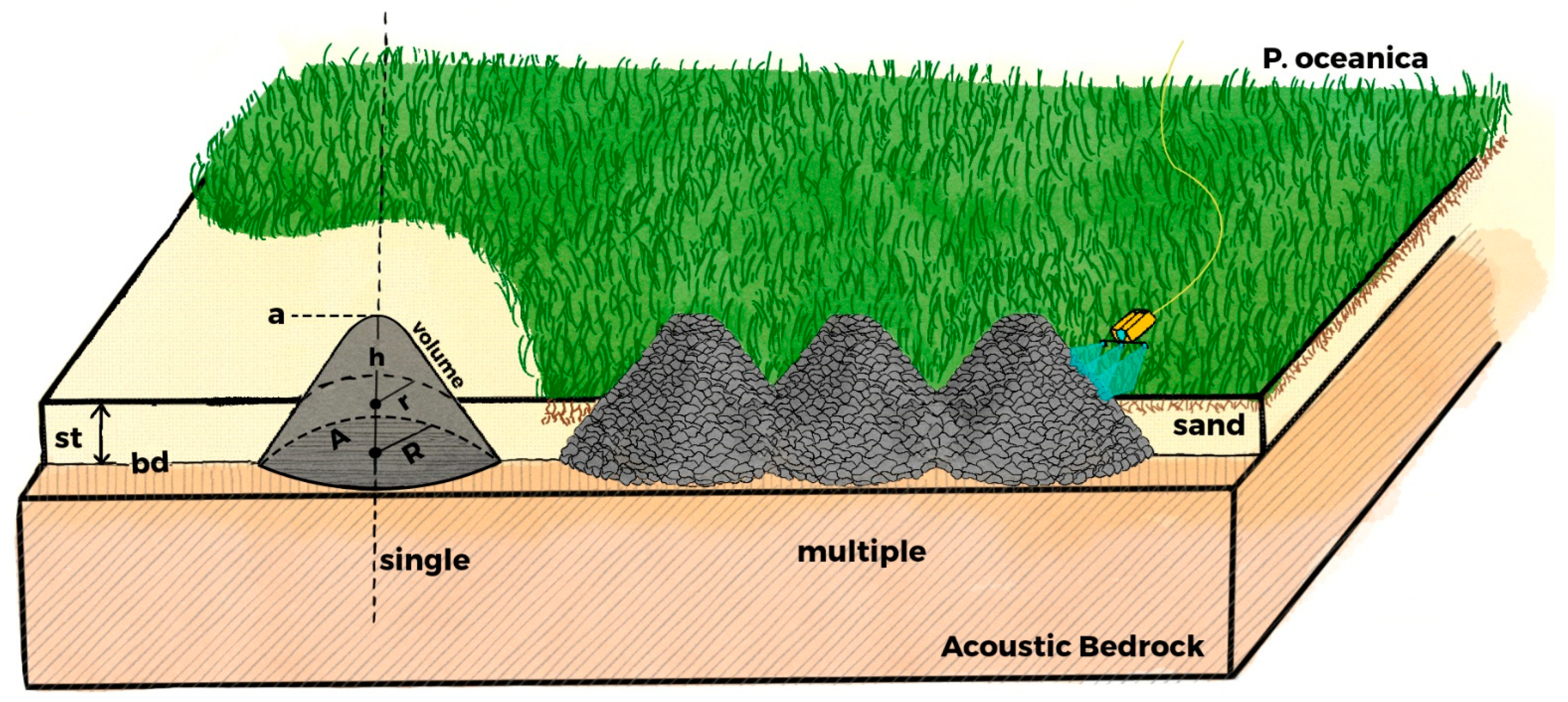 Remotesensing 13 04462 g009 550