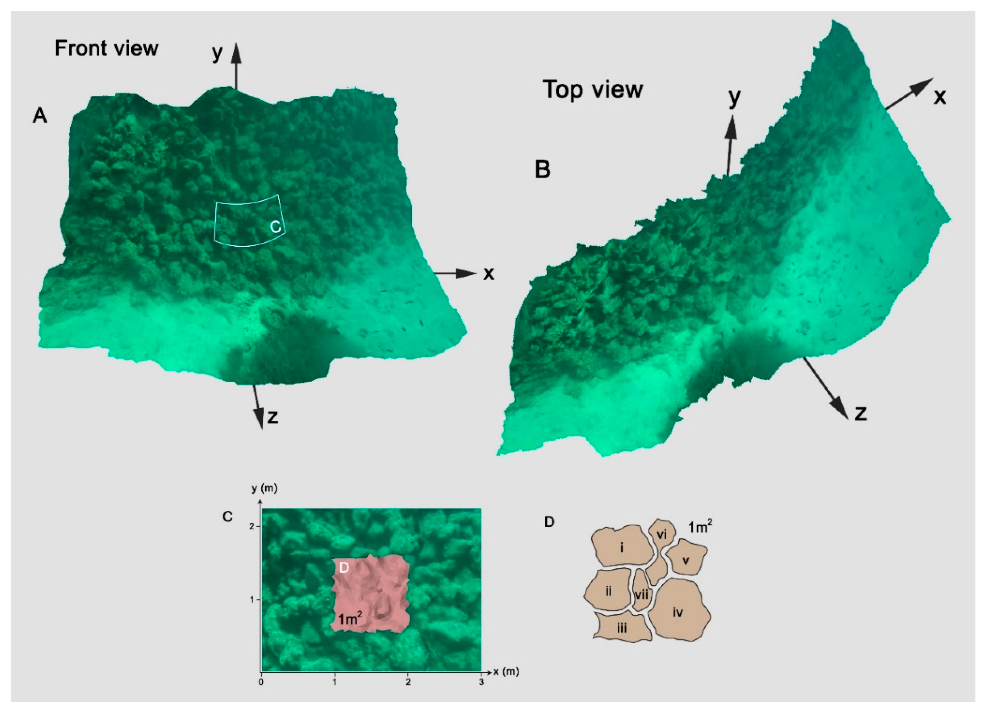 Remotesensing 13 04462 g010 550