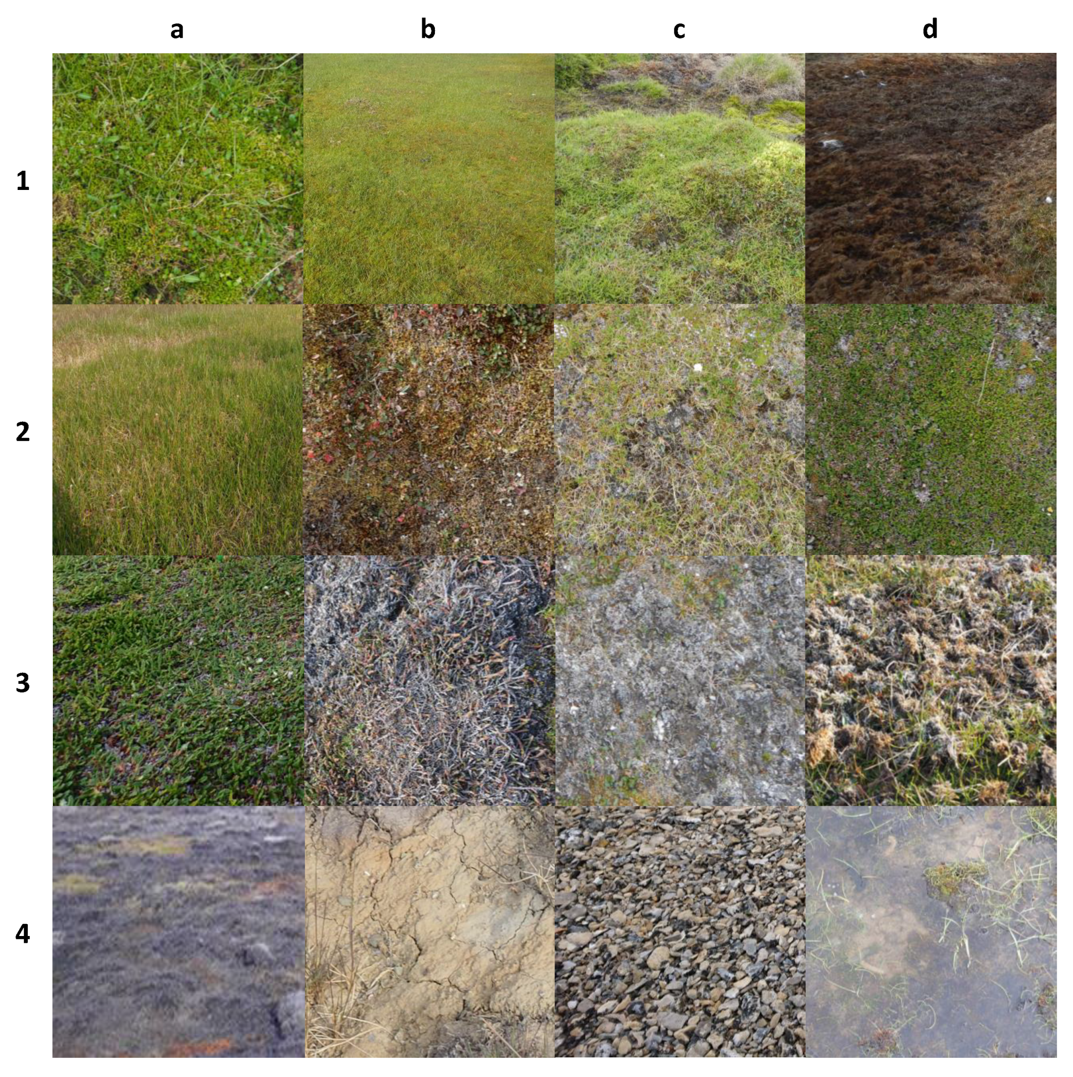 Remotesensing 13 04466 g002