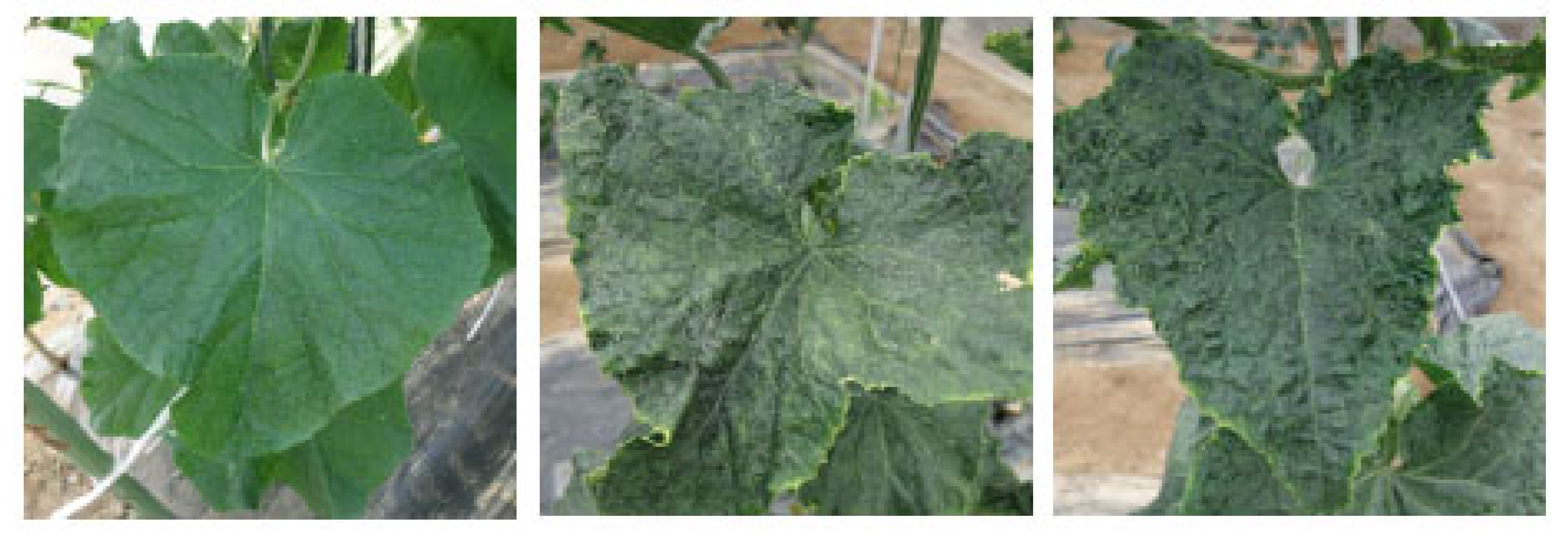 Remotesensing 13 04486 g003