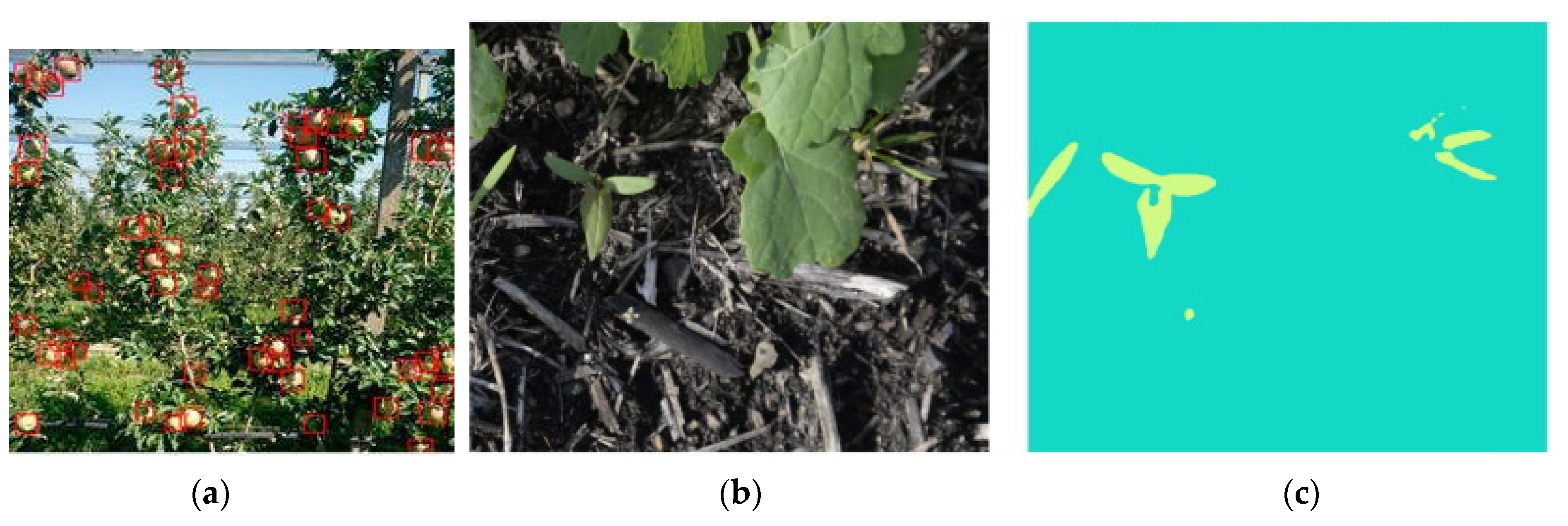 Remotesensing 13 04486 g007