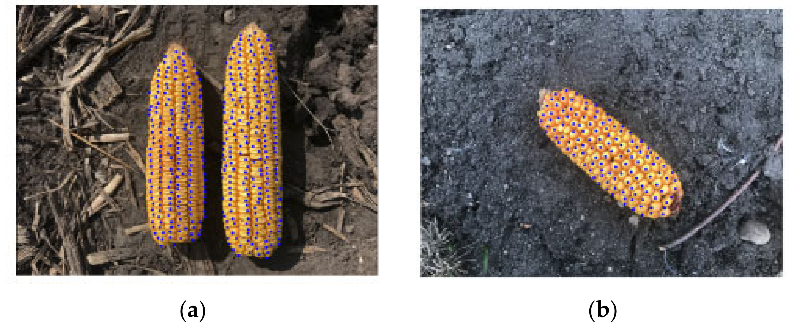 Remotesensing 13 04486 g008