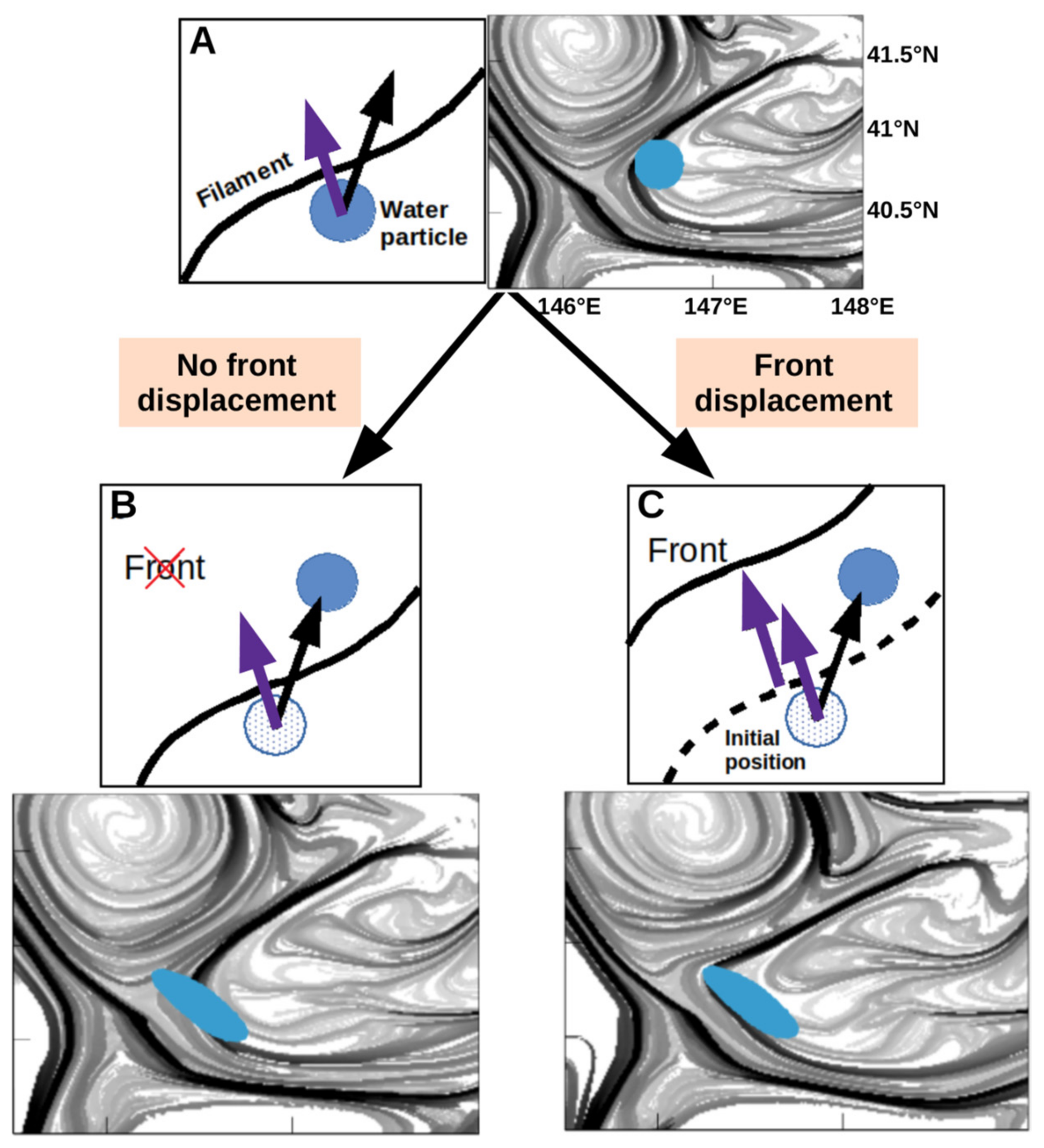 Remotesensing 13 04499 g006 550