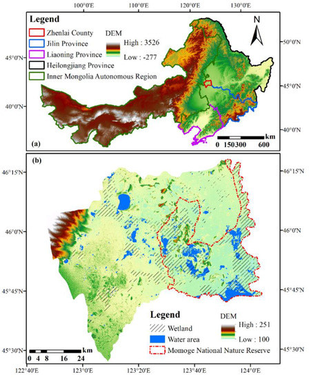Using Time Series Optical and SAR Data to Assess the Impact