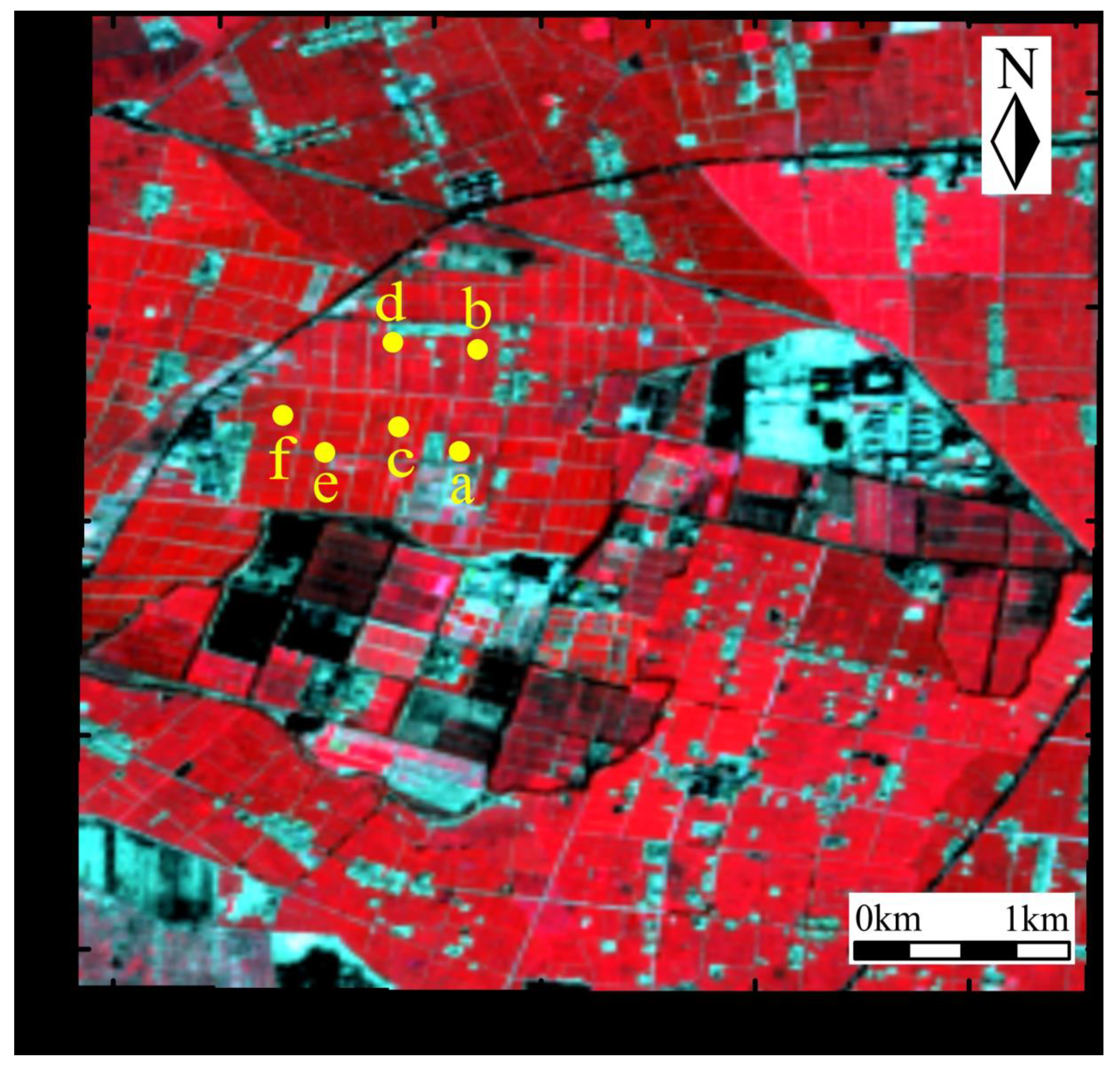 Remotesensing 13 04529 g001