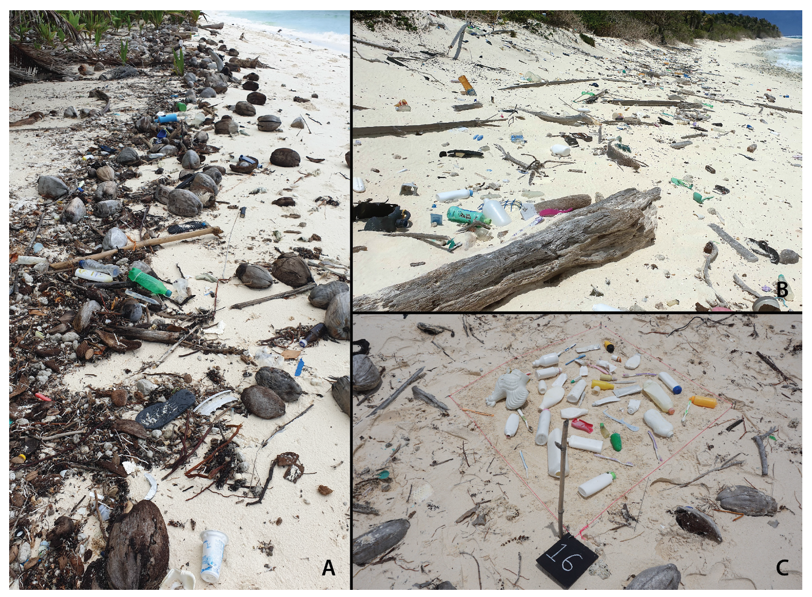 Remote Sensing | Free Full-Text | Quantifying Marine Plastic Debris in a Beach Environment Using Spectral Analysis HTML
