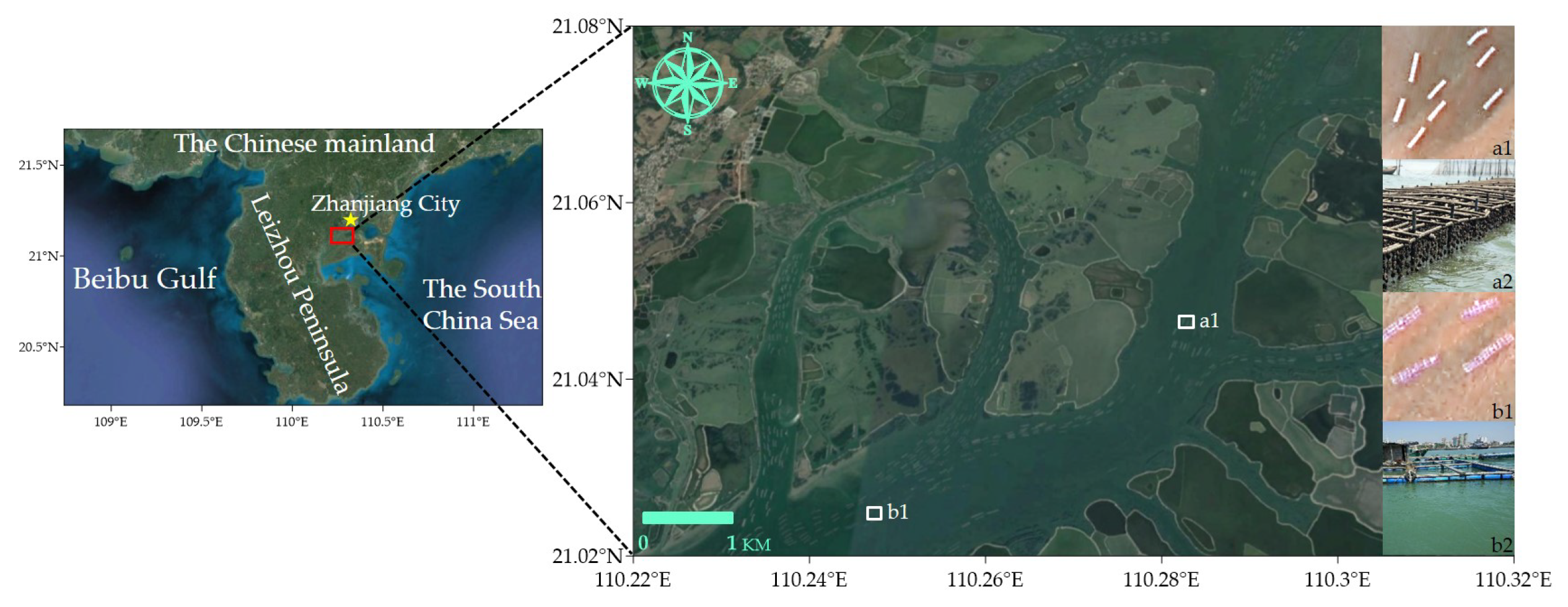 Remotesensing 13 04554 g002