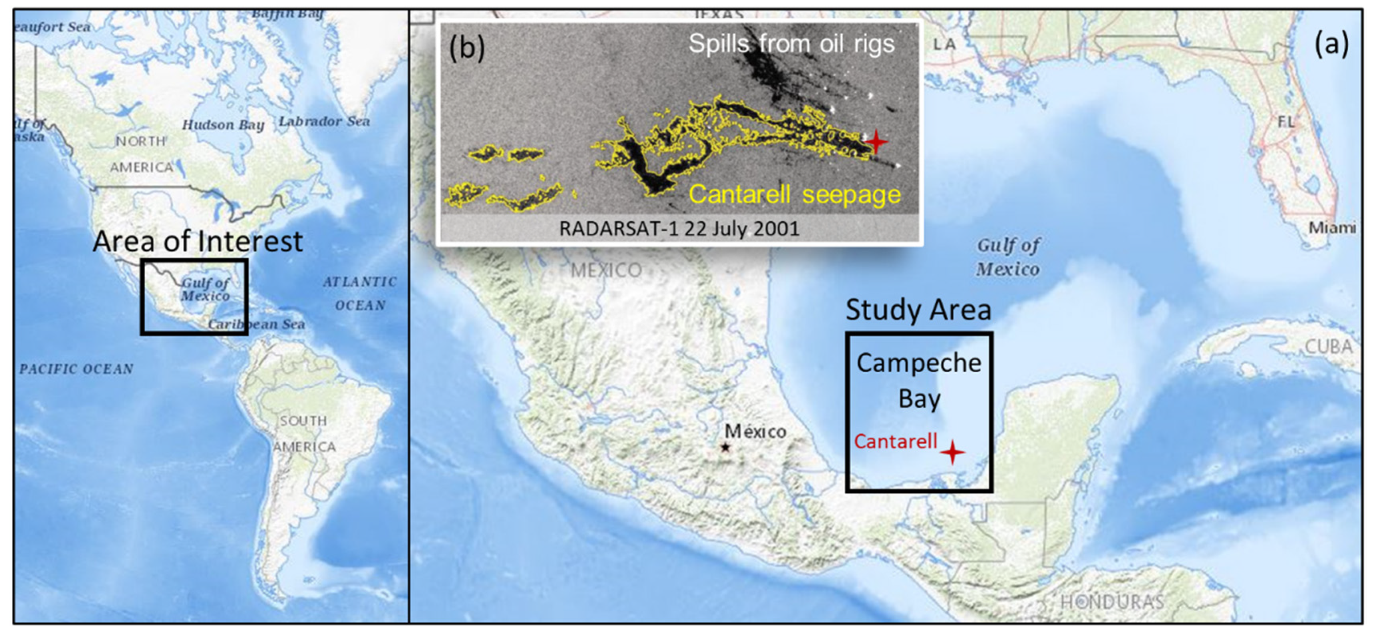 Remotesensing 13 04568 g001 550