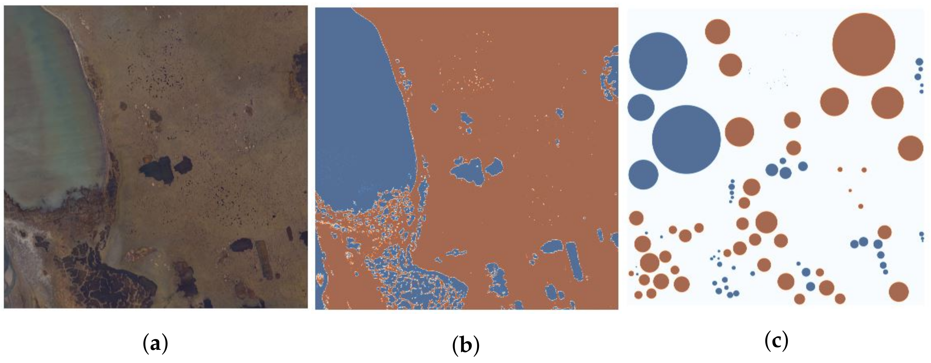 Remotesensing 13 04572 g001