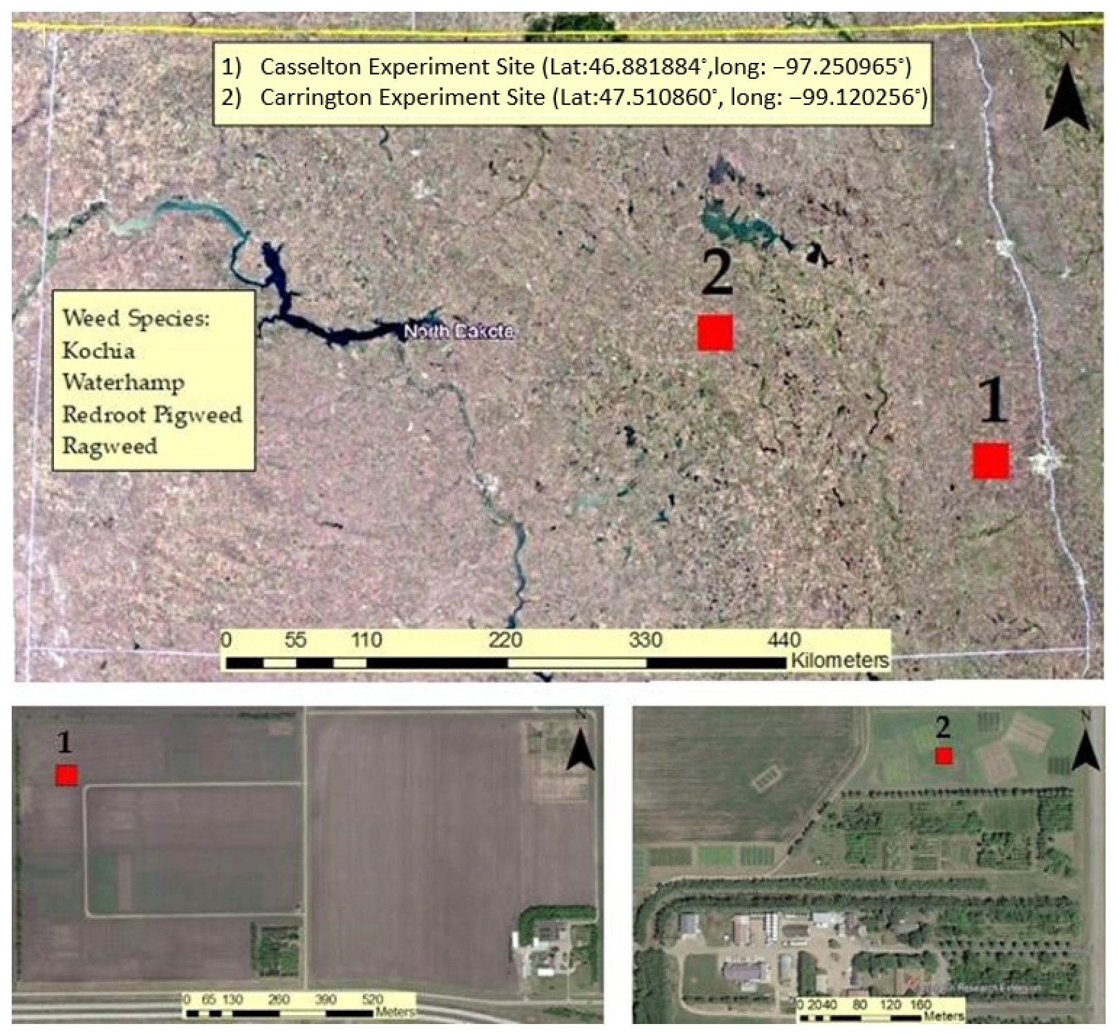 Remotesensing 13 04606 g001