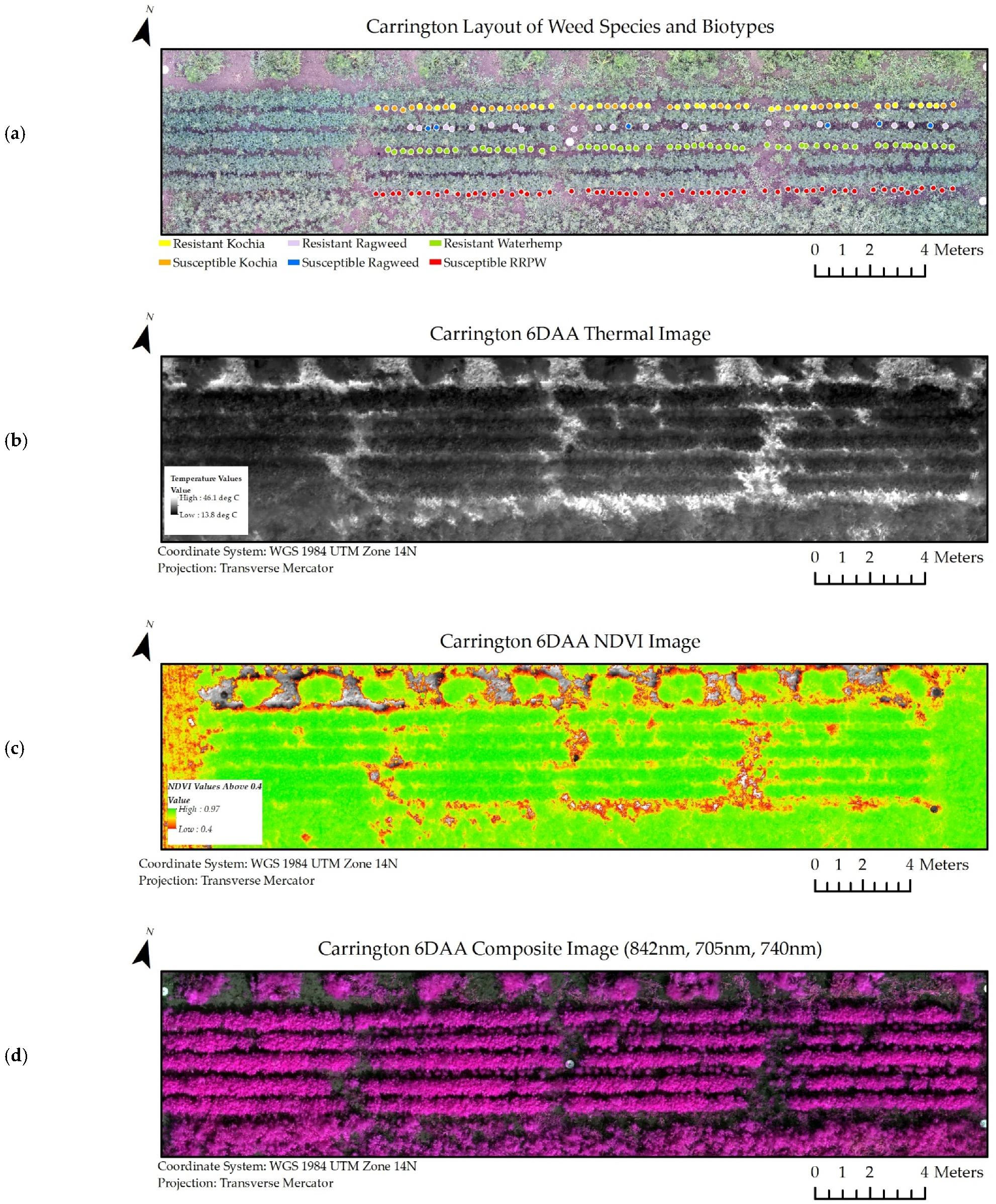 Remotesensing 13 04606 g006