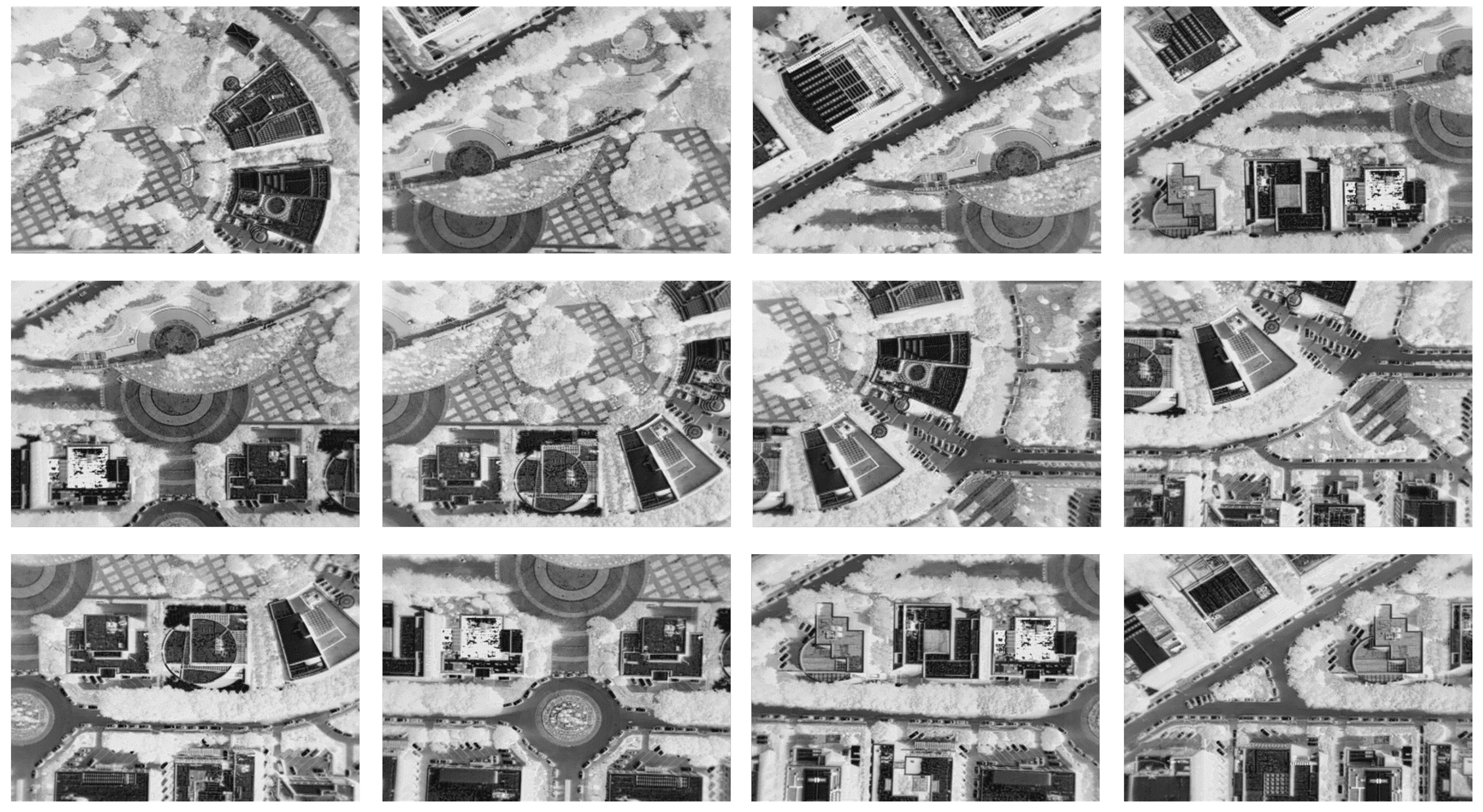 Remotesensing 13 04618 g012