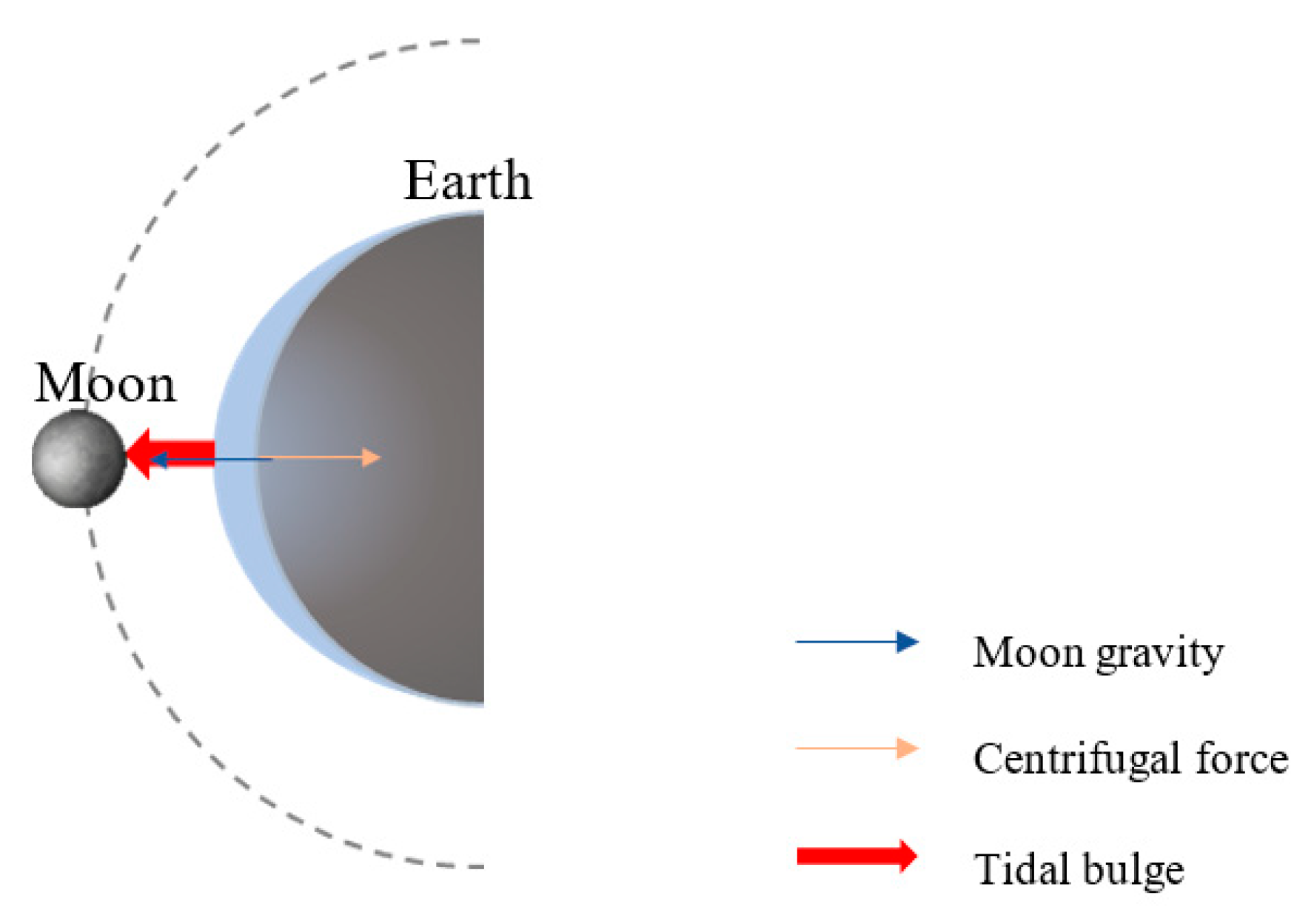 Remotesensing 13 04644 g001 550