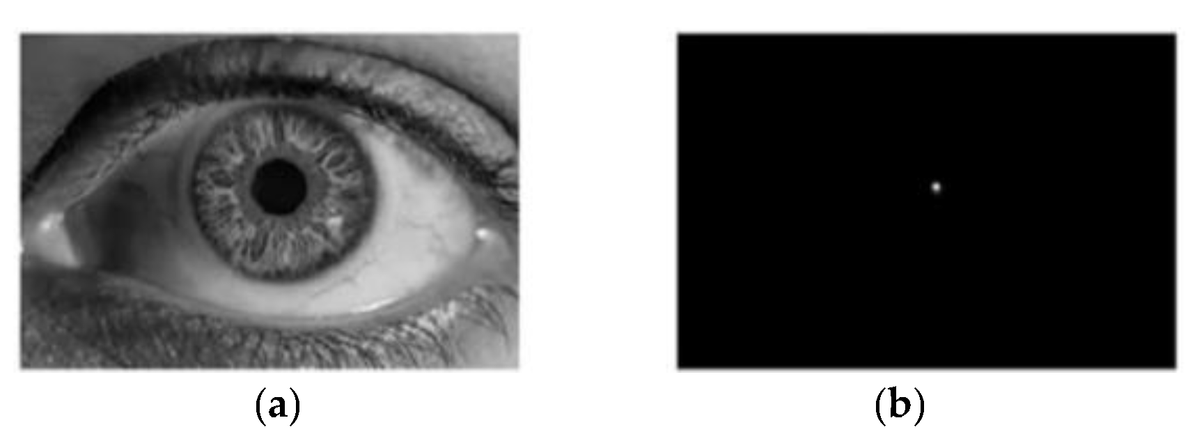 Remotesensing 13 04646 g006 550