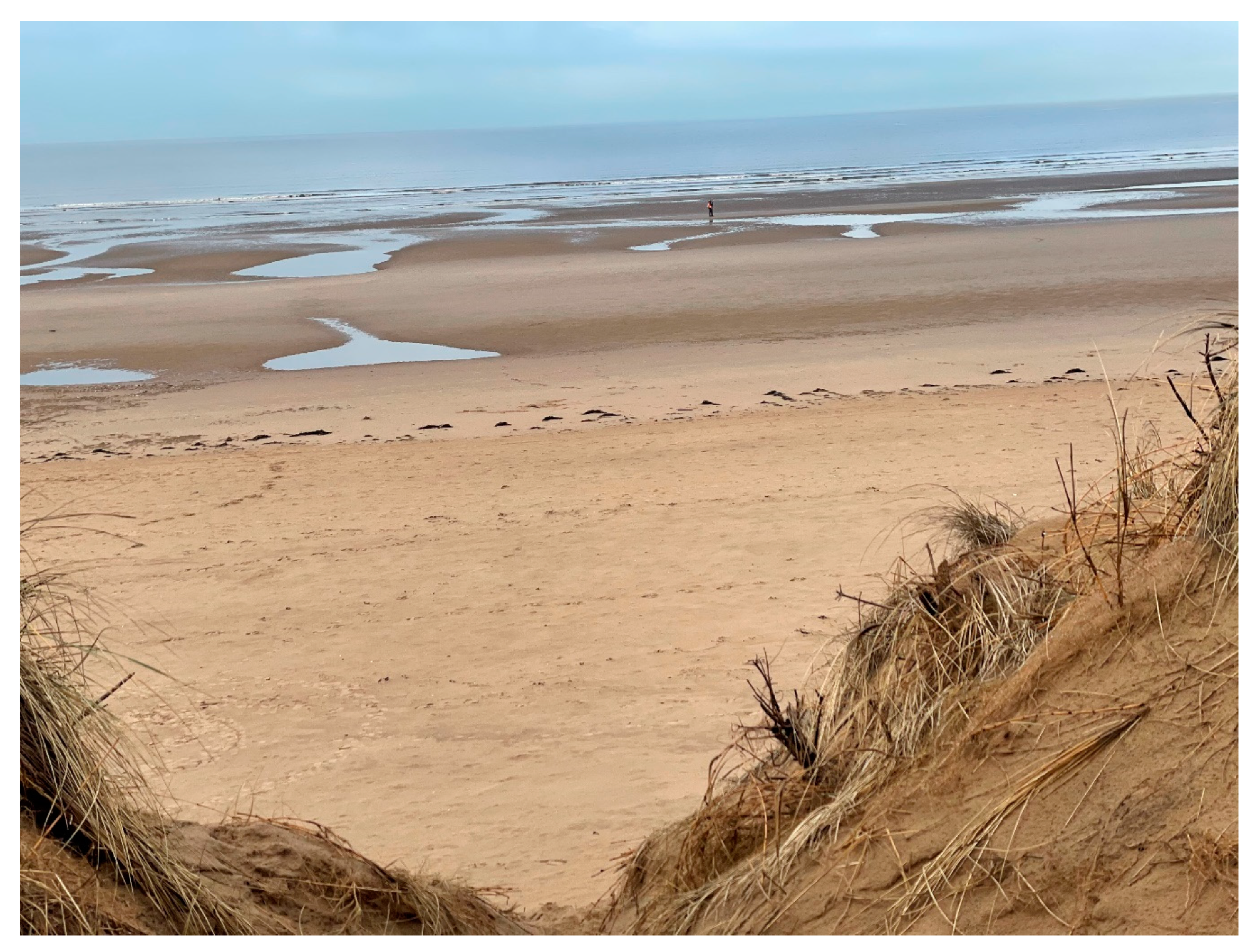 Remotesensing 13 04665 g011 550