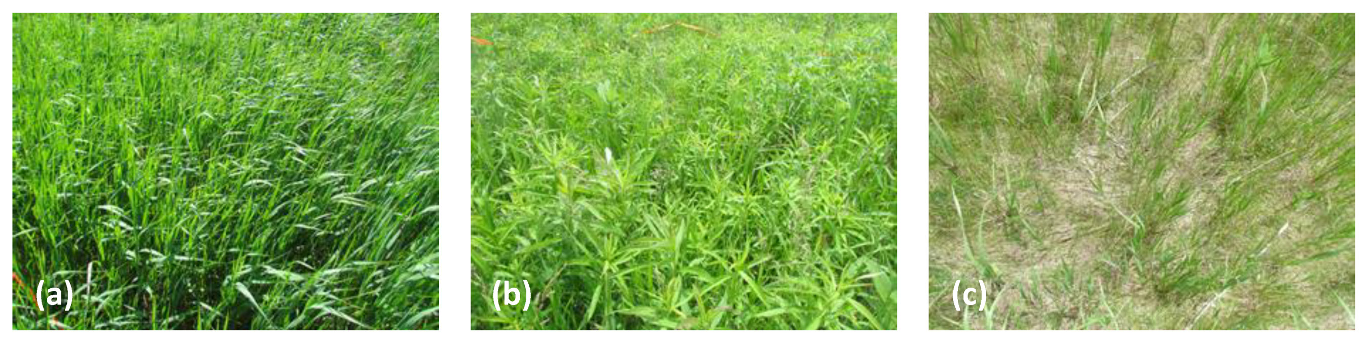 Remotesensing 13 04671 g002 550