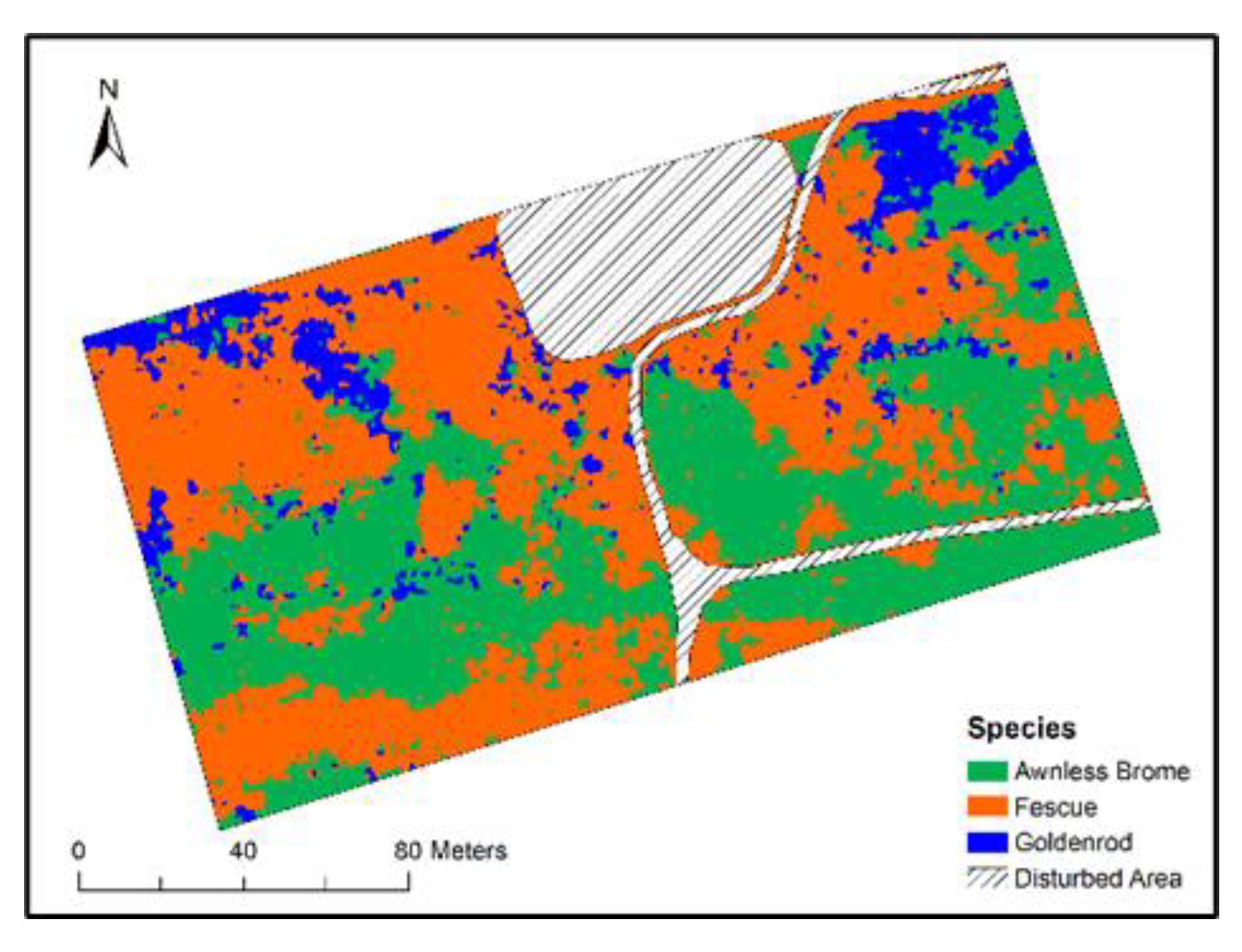 Remotesensing 13 04671 g007 550