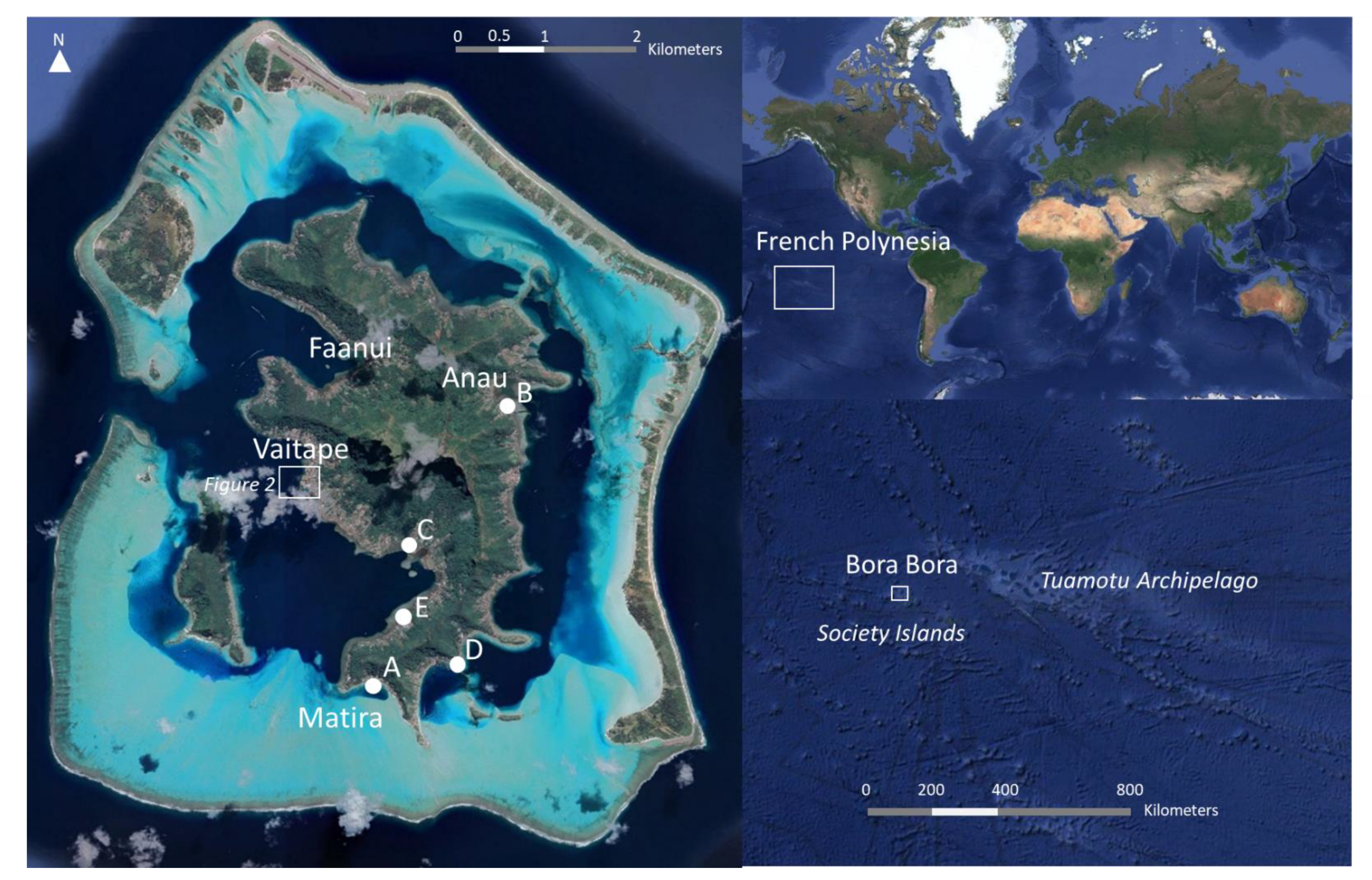 Remotesensing 13 04692 g001 550