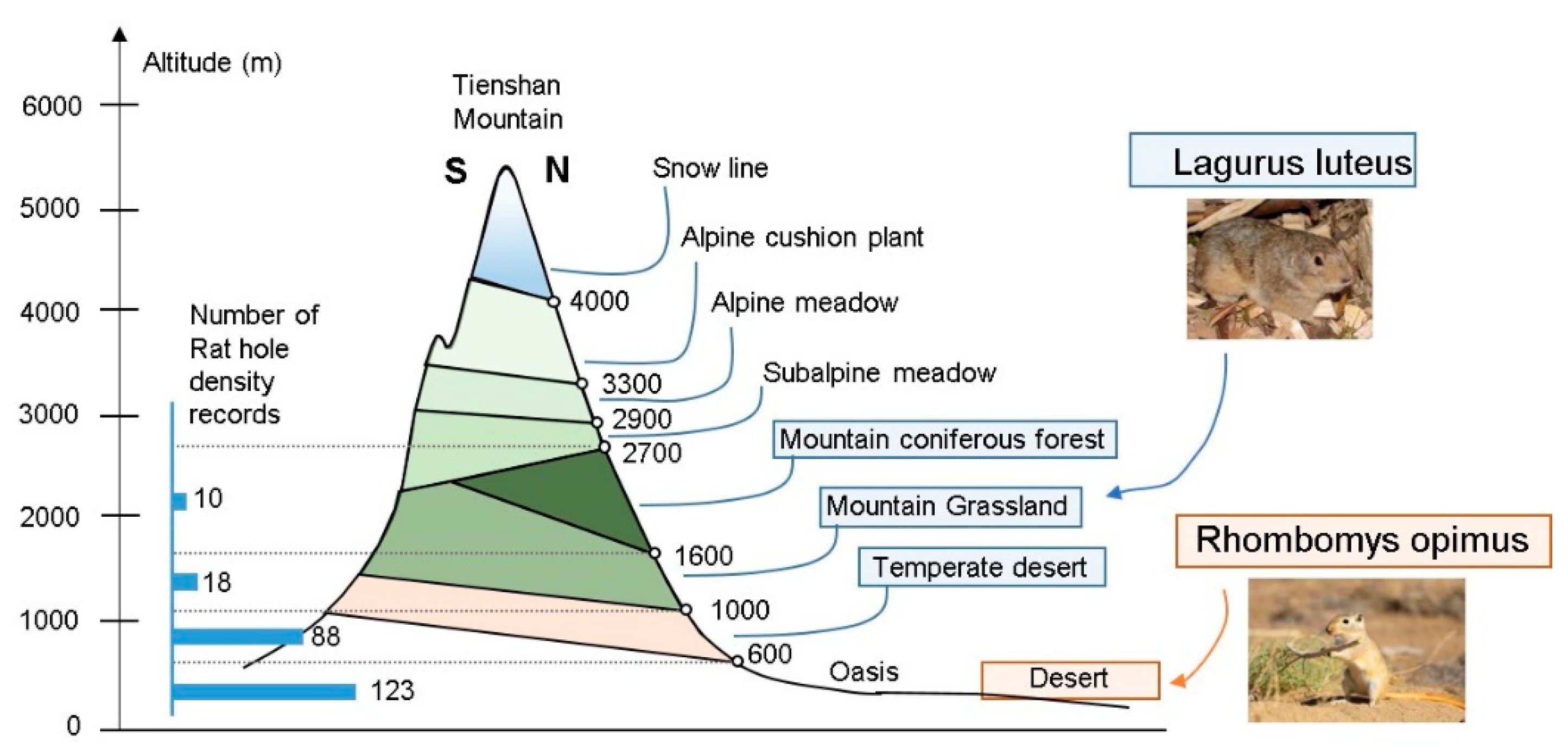 Remotesensing 13 04709 g003 Remotesensing 13 04709 g003