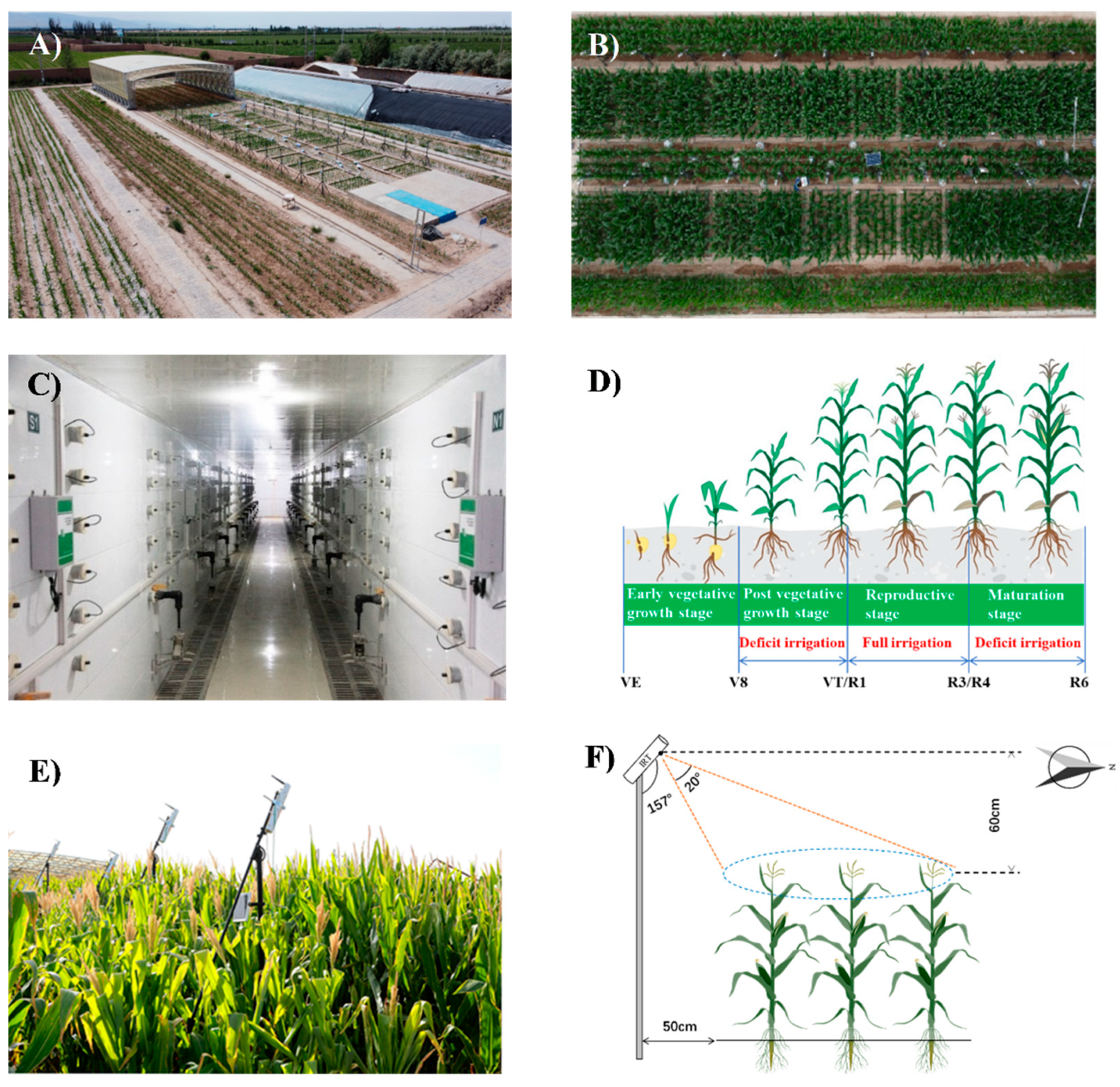 Remotesensing 13 04710 g001