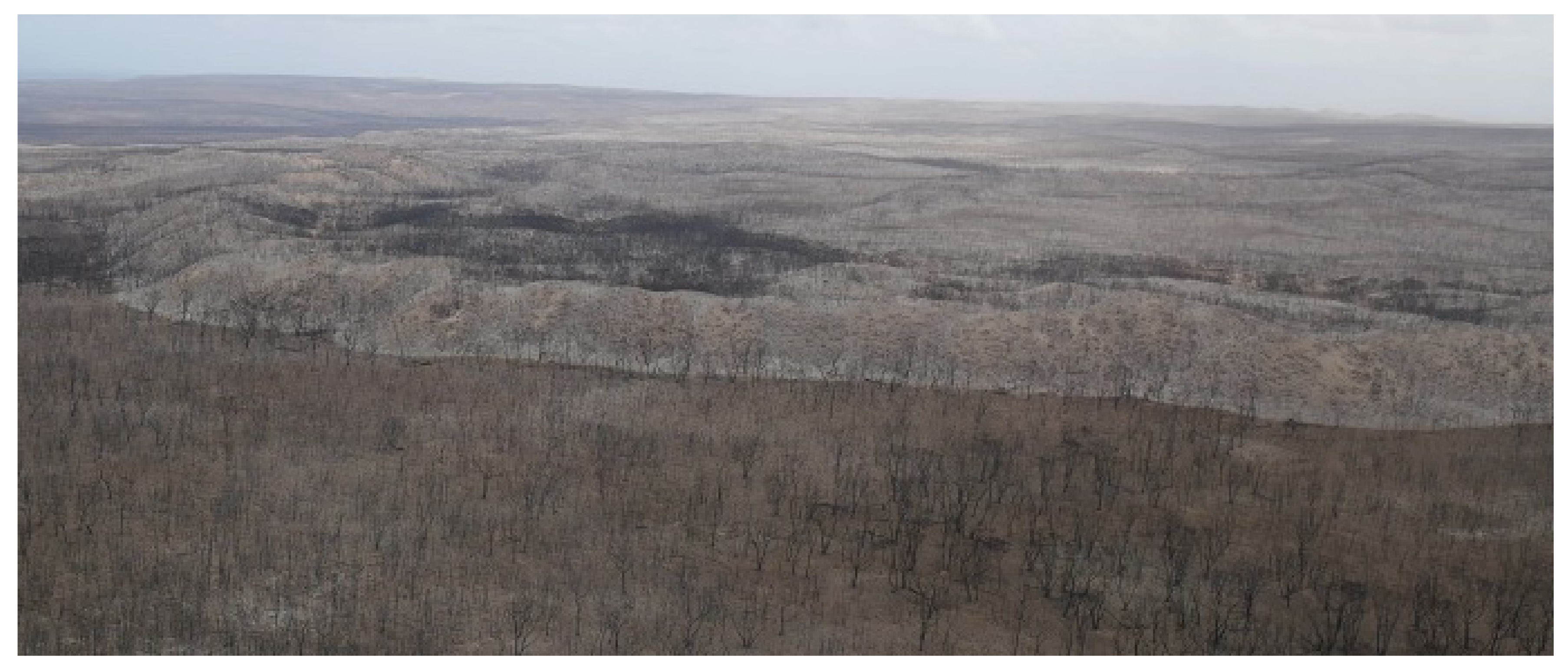 Remotesensing 13 04739 g008