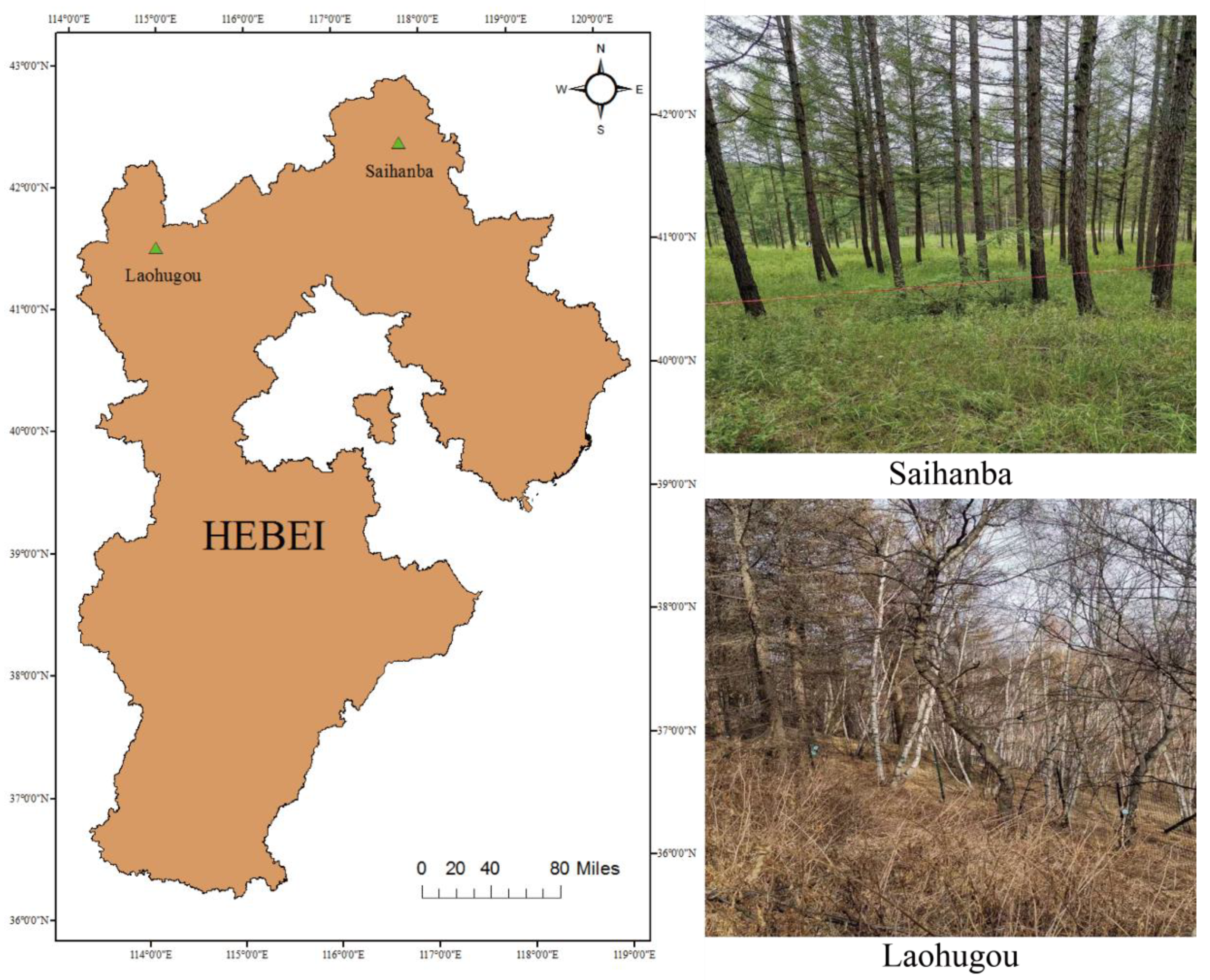 Remotesensing 13 04750 g001 550