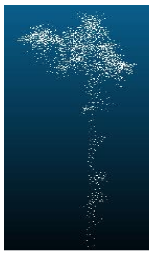 Remotesensing 13 04750 g013 550