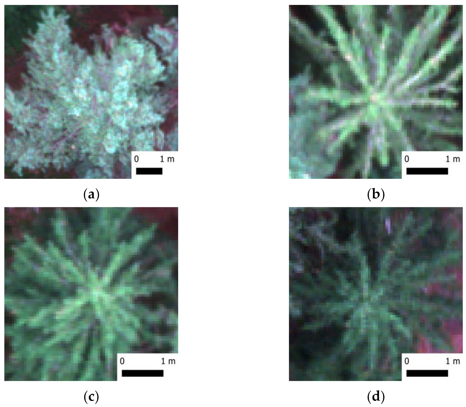 Remotesensing 13 04768 g002