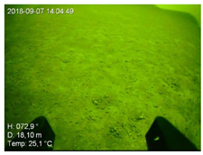 Remotesensing 13 04771 i002