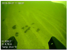 Remotesensing 13 04771 i004