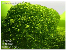 Remotesensing 13 04771 i008