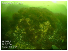 Remotesensing 13 04771 i010