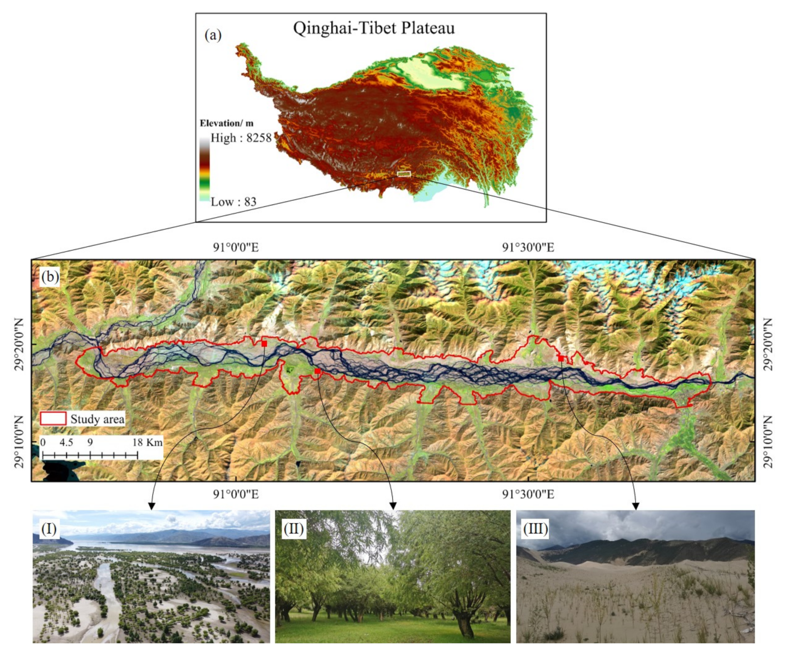 Remotesensing 13 04785 g001 550