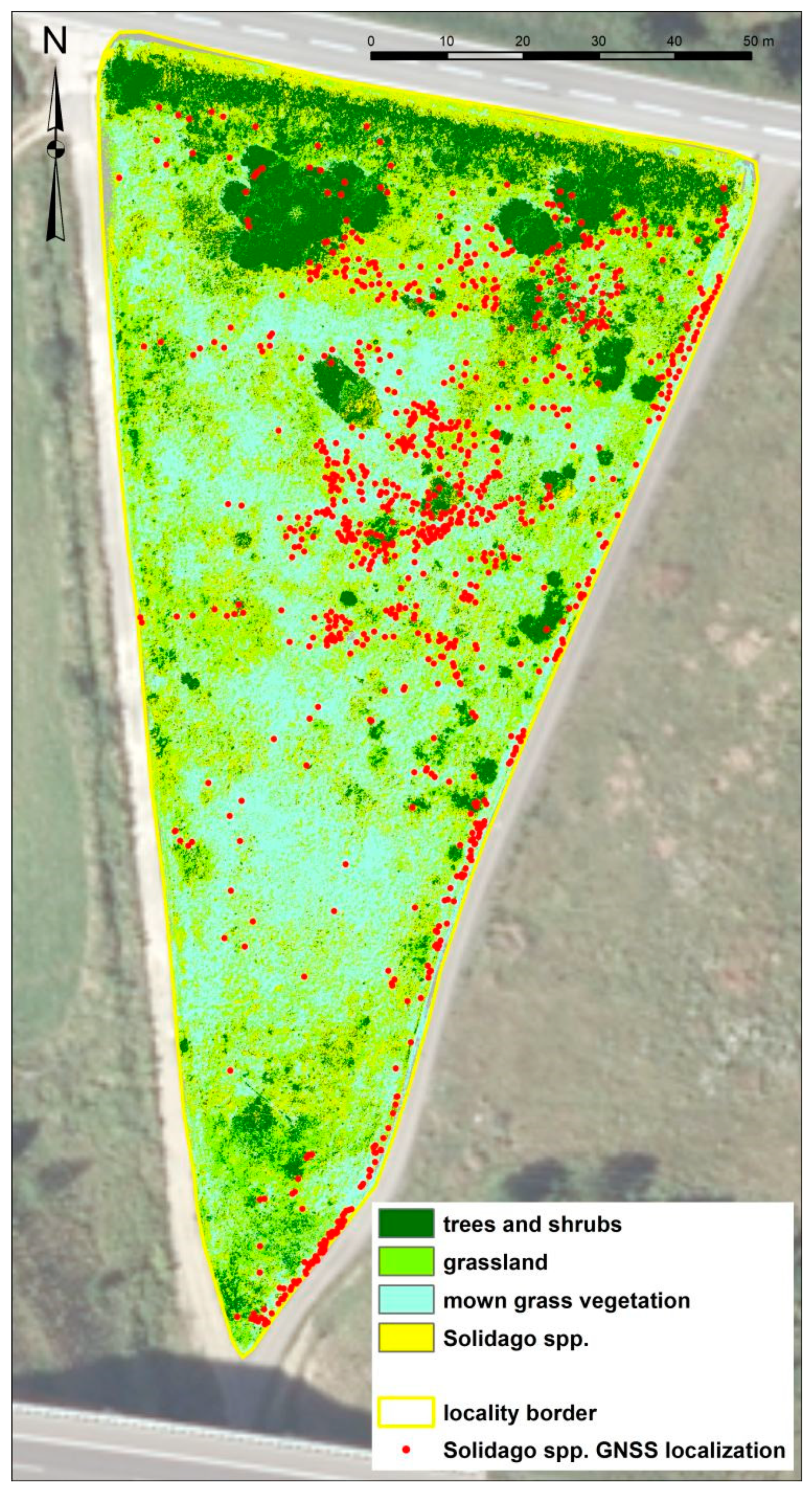 Remotesensing 13 04787 g010