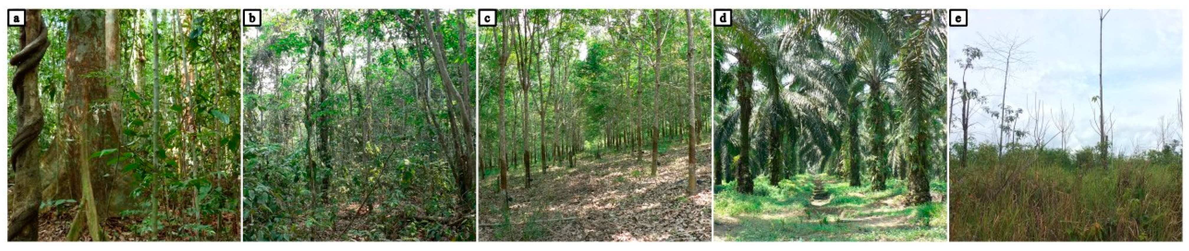 Remotesensing 13 04794 g002