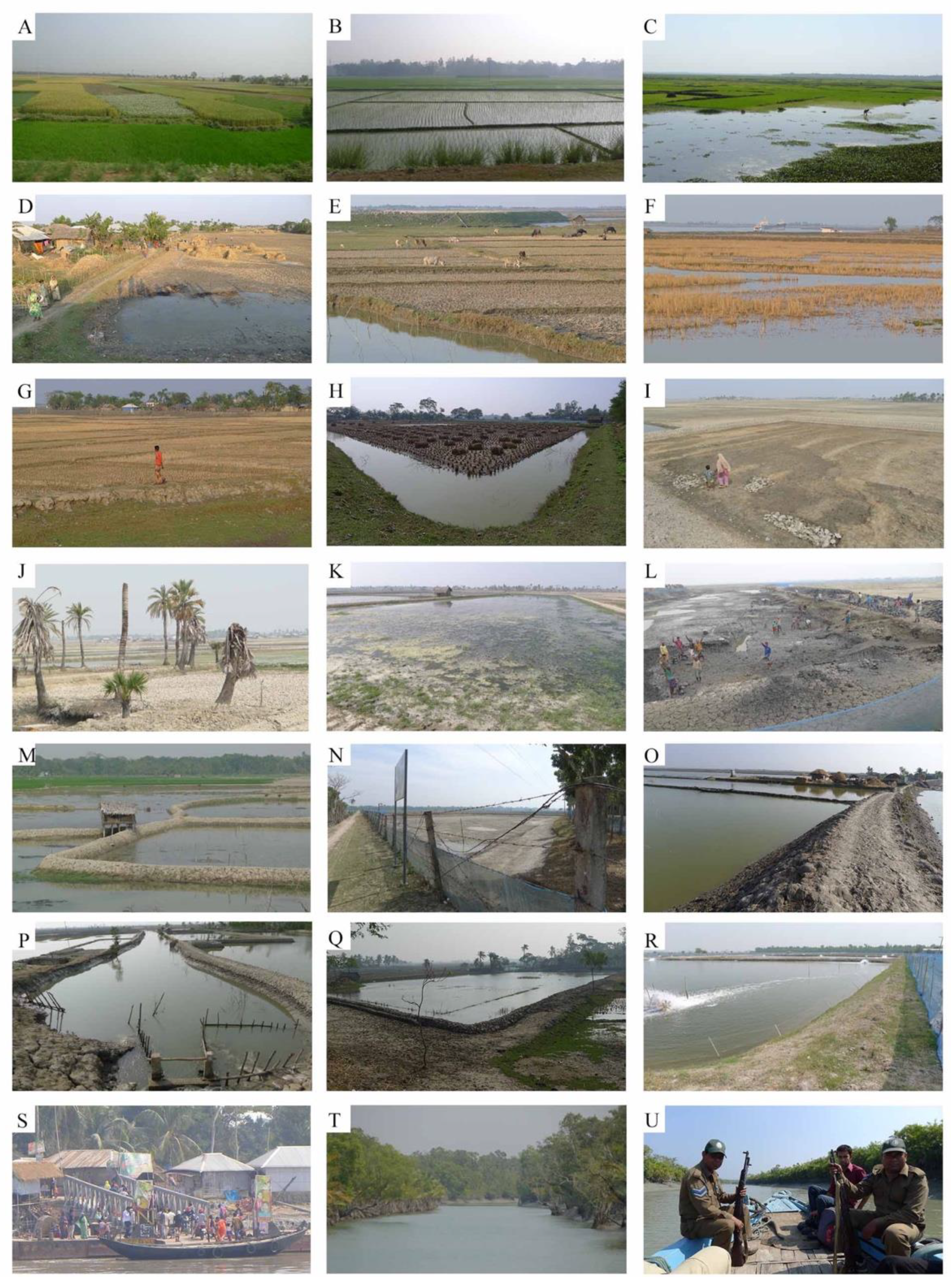 Remotesensing 13 04799 g002 550