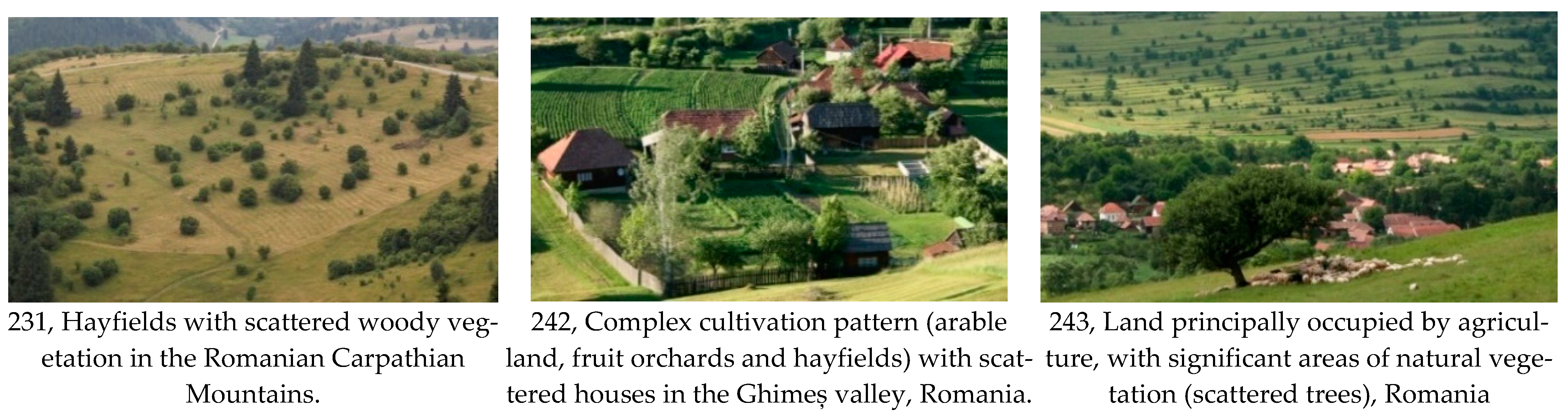 Remotesensing 13 04814 g009