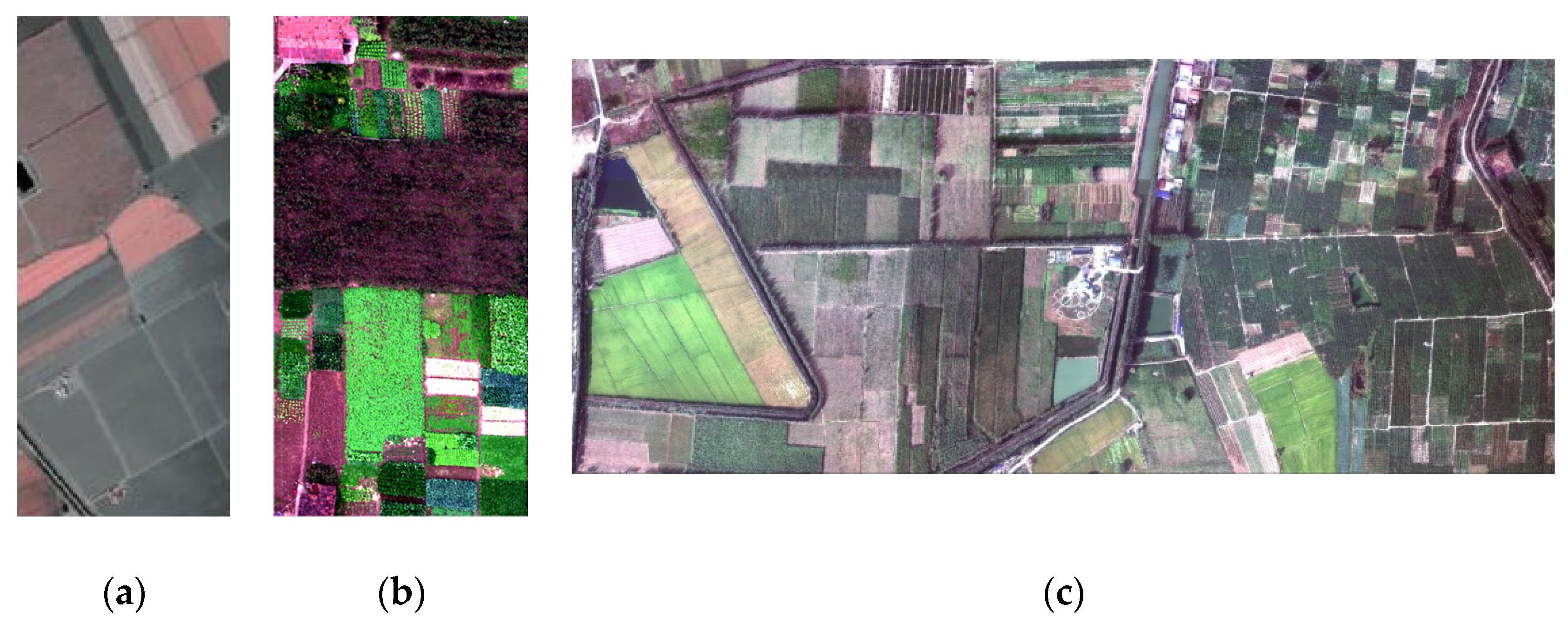 Remotesensing 13 04816 g001