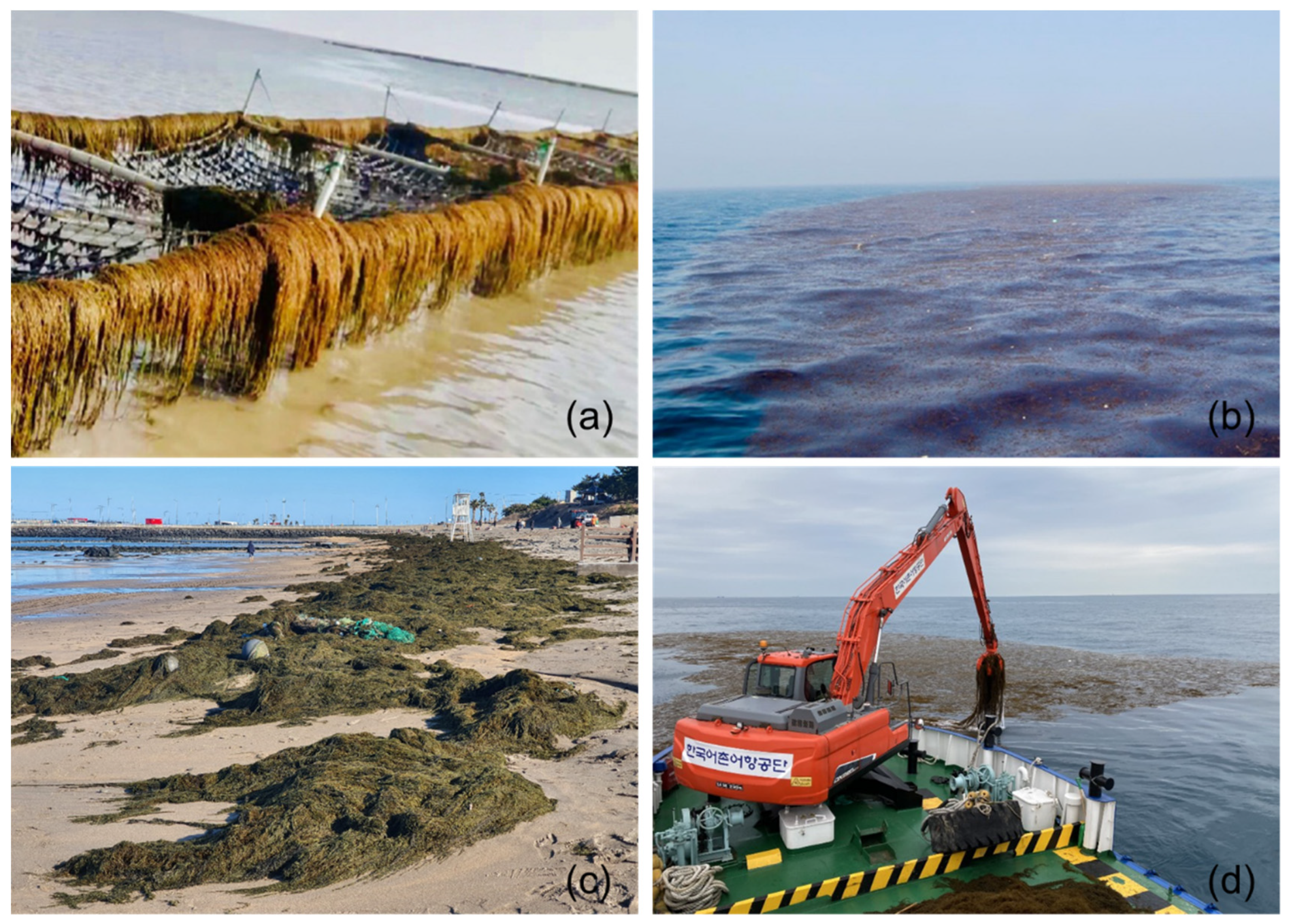 Remotesensing 13 04844 g001 550