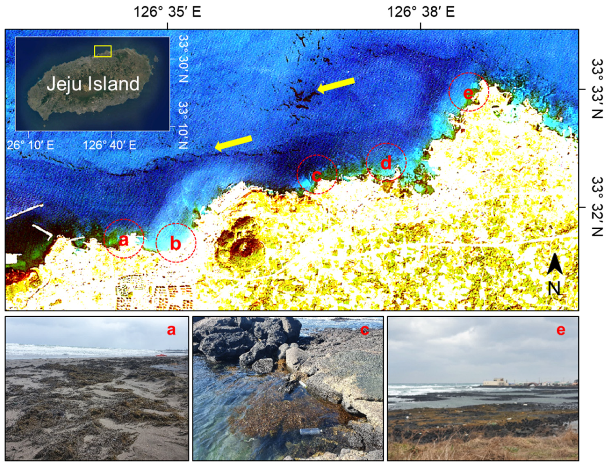 Remotesensing 13 04844 g003 550