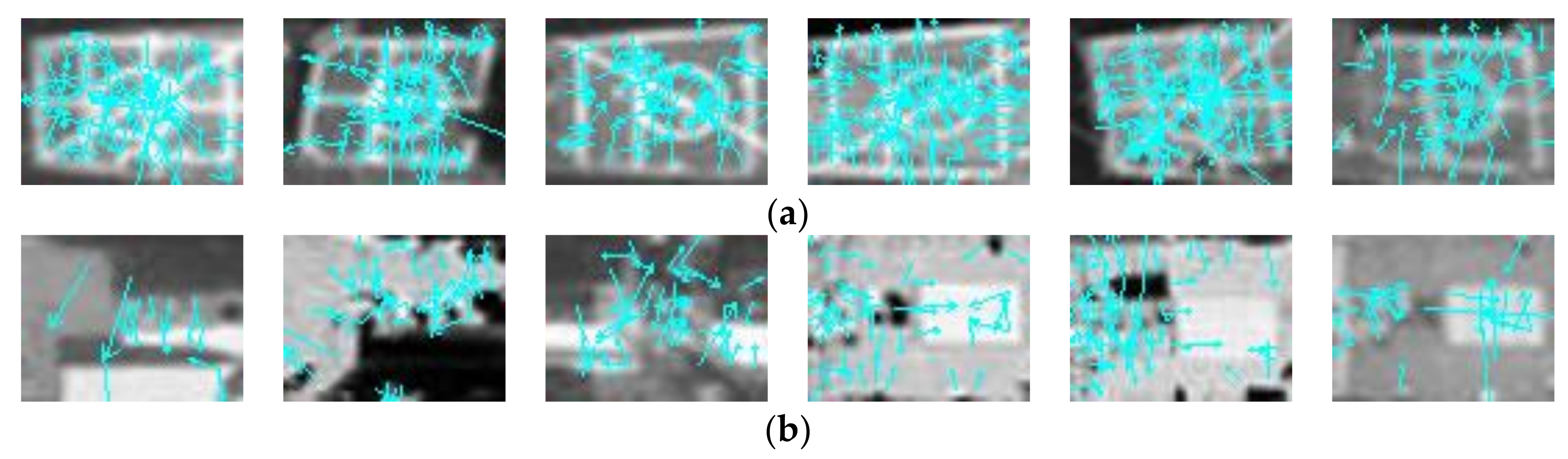 Remotesensing 13 04852 g012