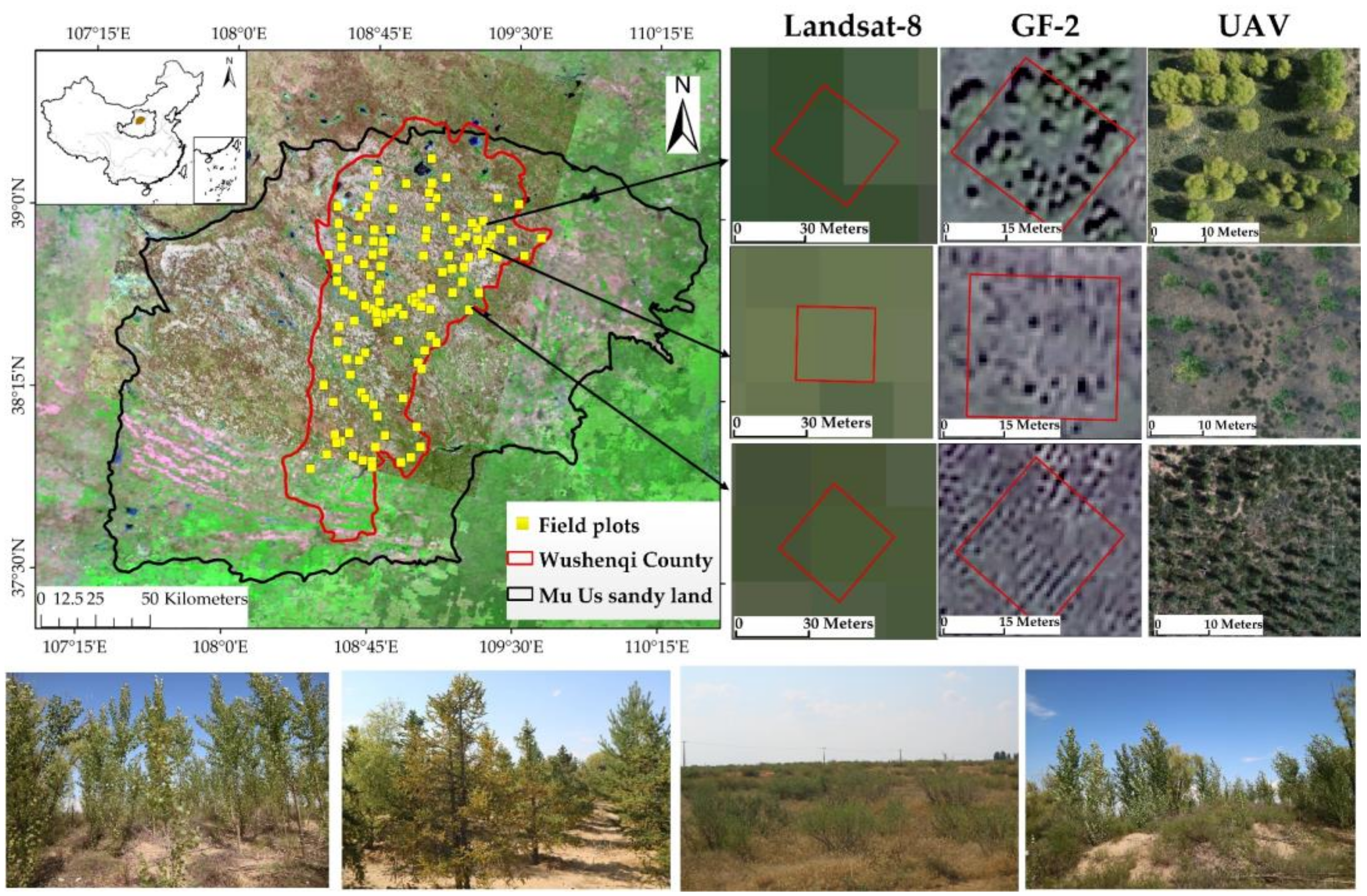 Remotesensing 13 04859 g001 550