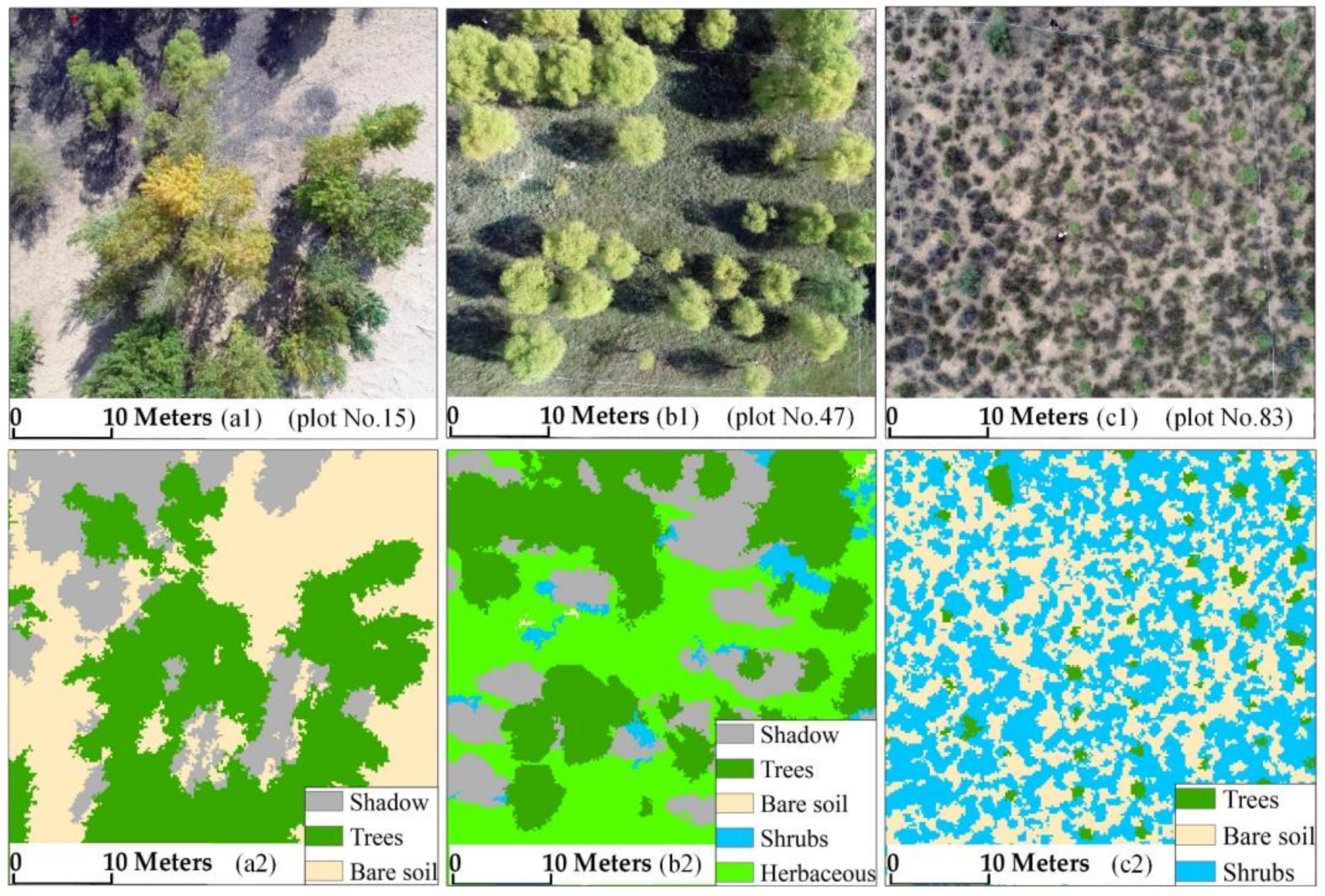 Remotesensing 13 04859 g004 550